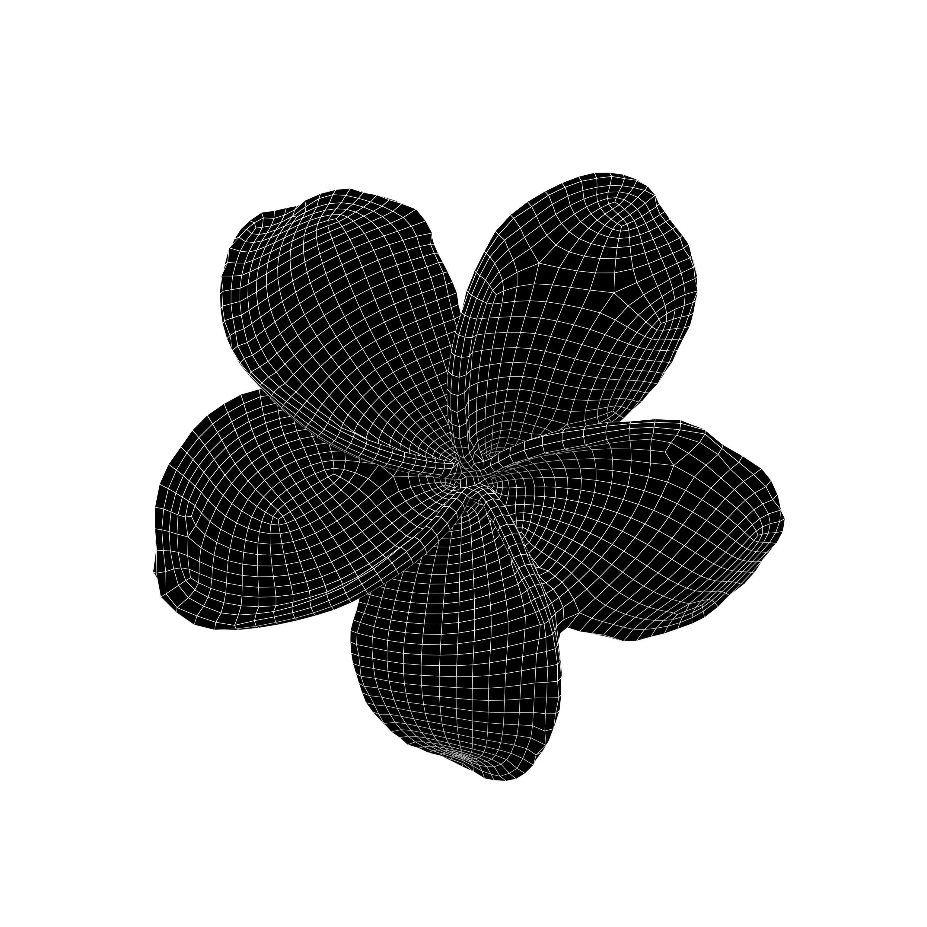 Plumeria Flower v1 005 Low-poly 3D model_4