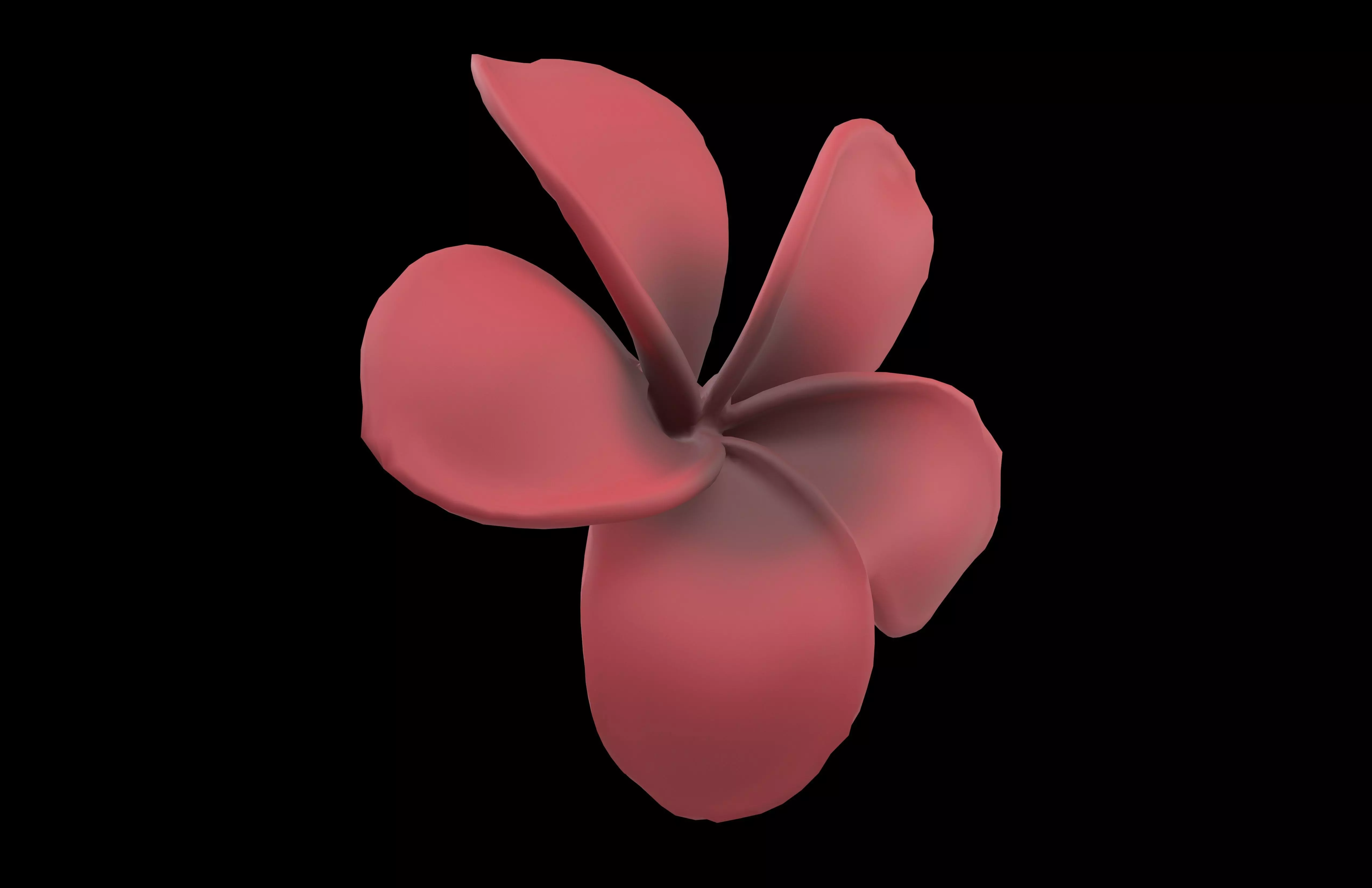Plumeria Flower v1 005 Low-poly 3D model_1