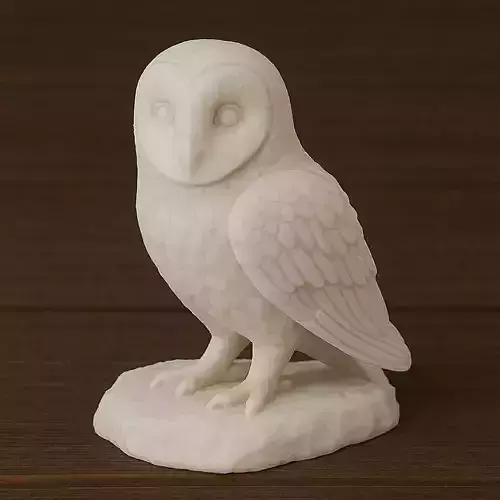 Barn Owl 3D print model