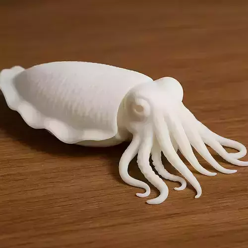 Cuttlefish 3D print model