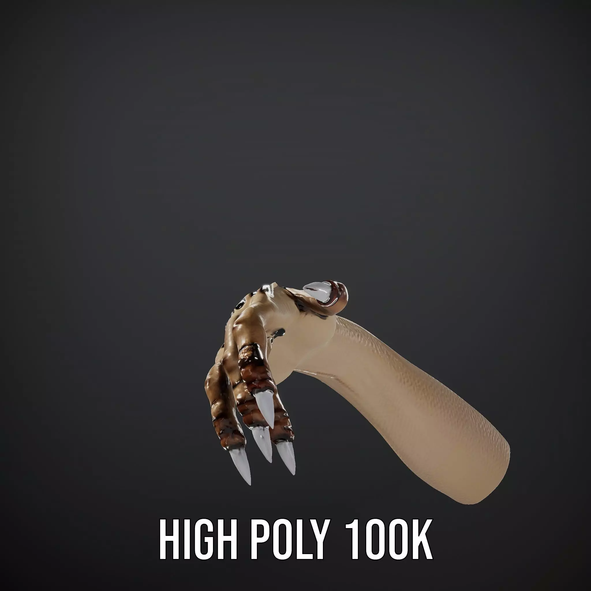 Mystical Hand with Tattoo and Claws Model Pack Low-poly 3D model_35