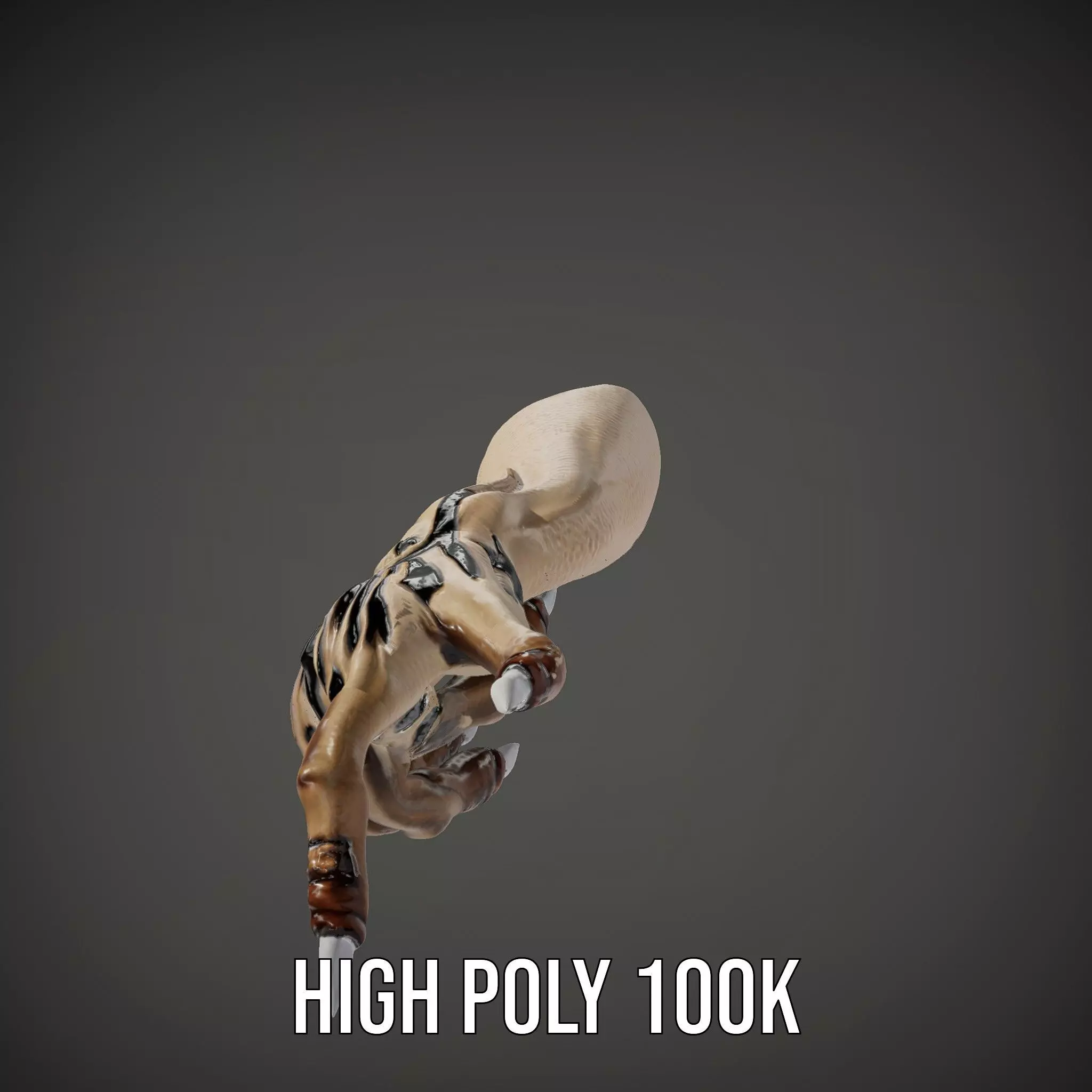 Mystical Hand with Tattoo and Claws Model Pack Low-poly 3D model_34