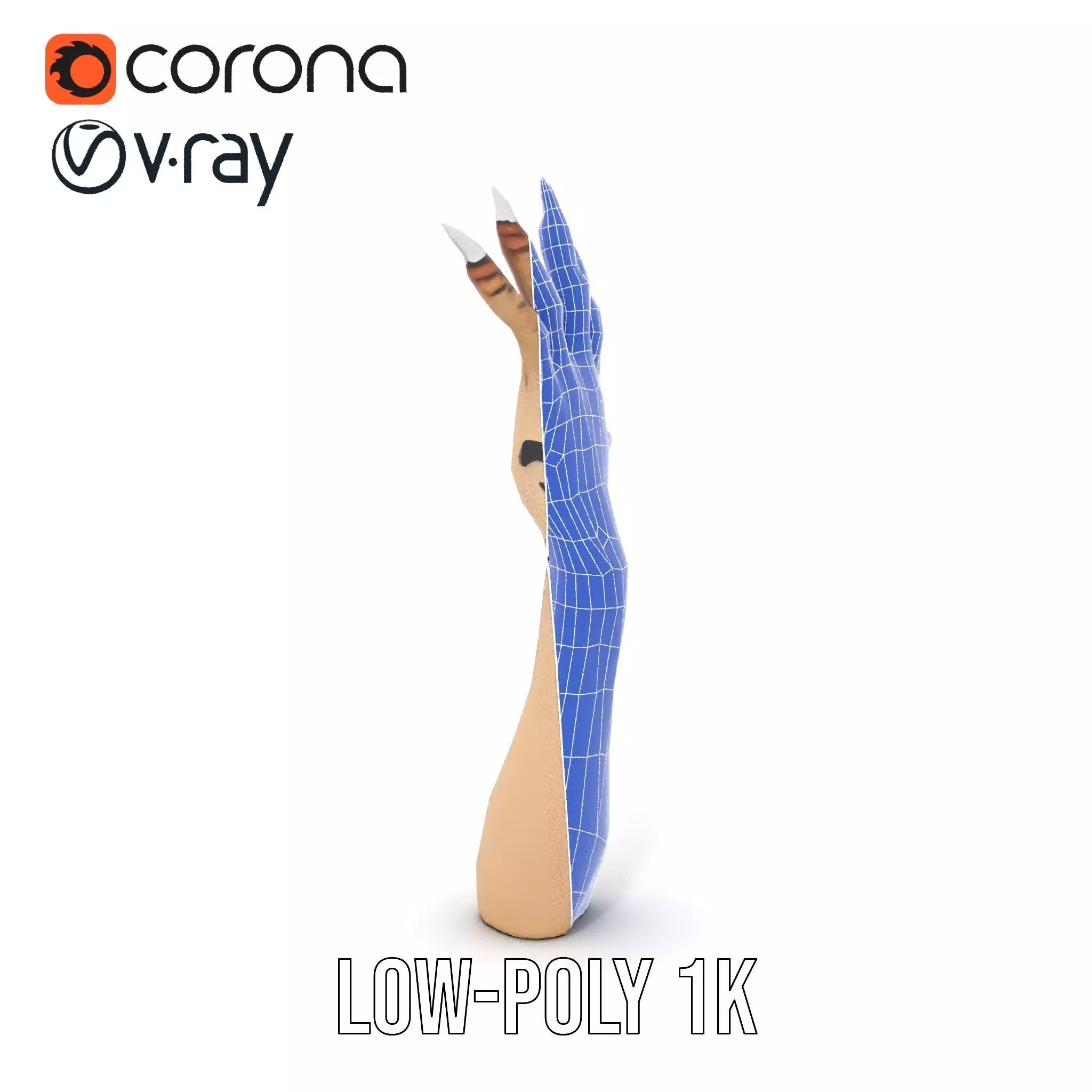 Mystical Hand with Tattoo and Claws Model Pack Low-poly 3D model_23