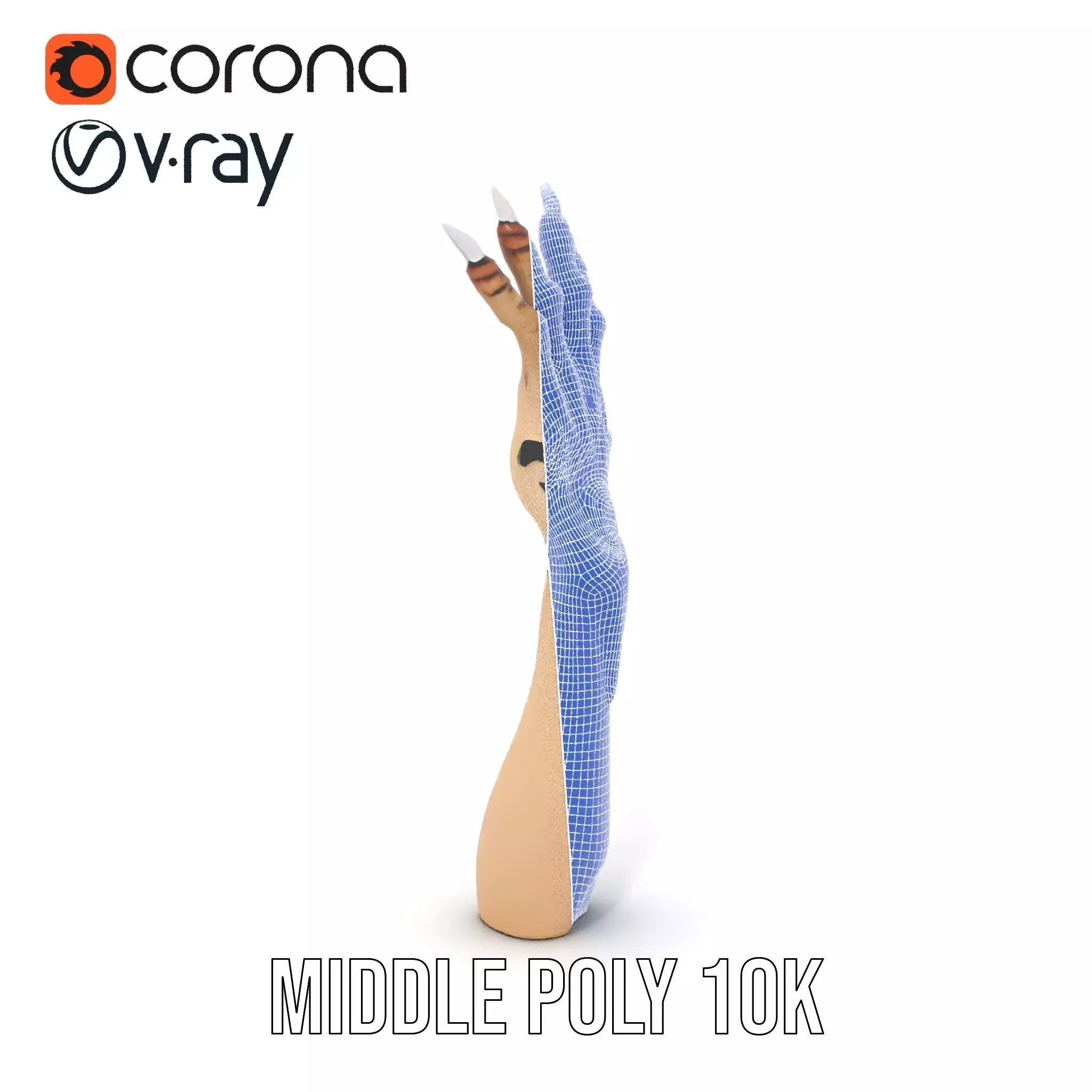 Mystical Hand with Tattoo and Claws Model Pack Low-poly 3D model_16