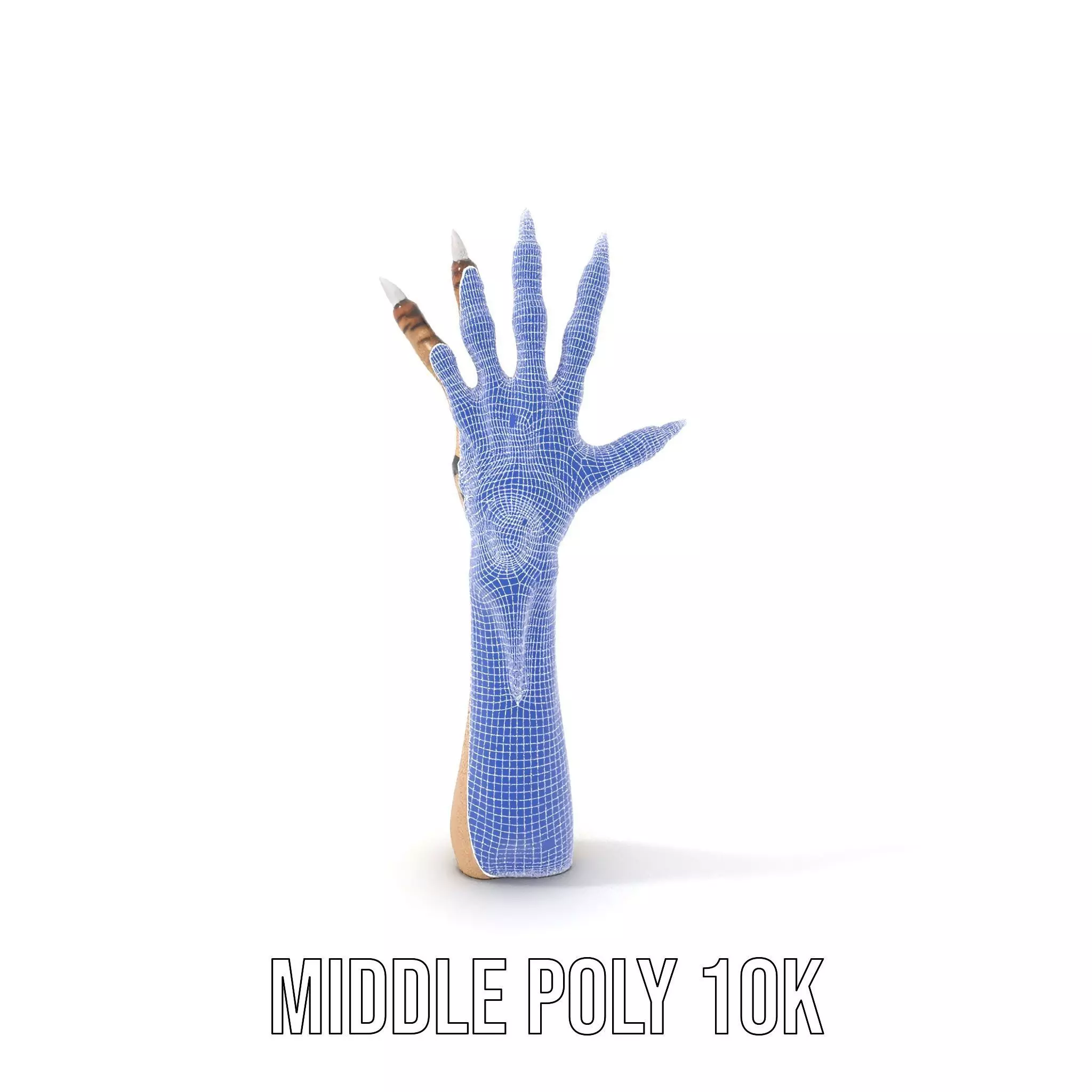Mystical Hand with Tattoo and Claws Model Pack Low-poly 3D model_31