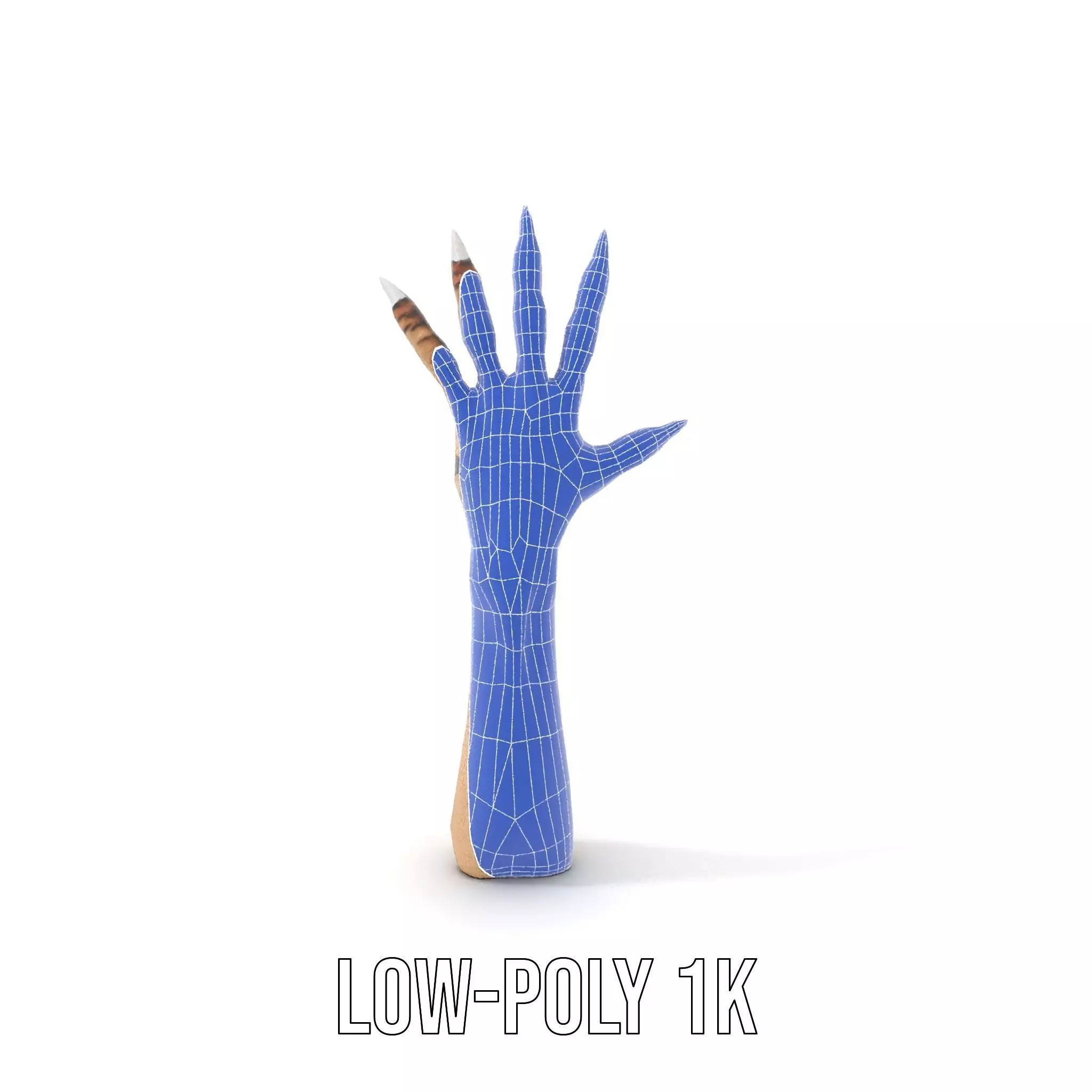 Mystical Hand with Tattoo and Claws Model Pack Low-poly 3D model_29