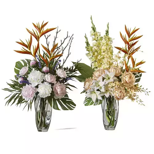 Flower Set 118 Bird of paradise