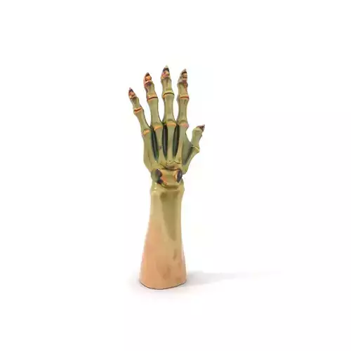 Fantasy Undead Hand Model Pack Low-poly 3D model