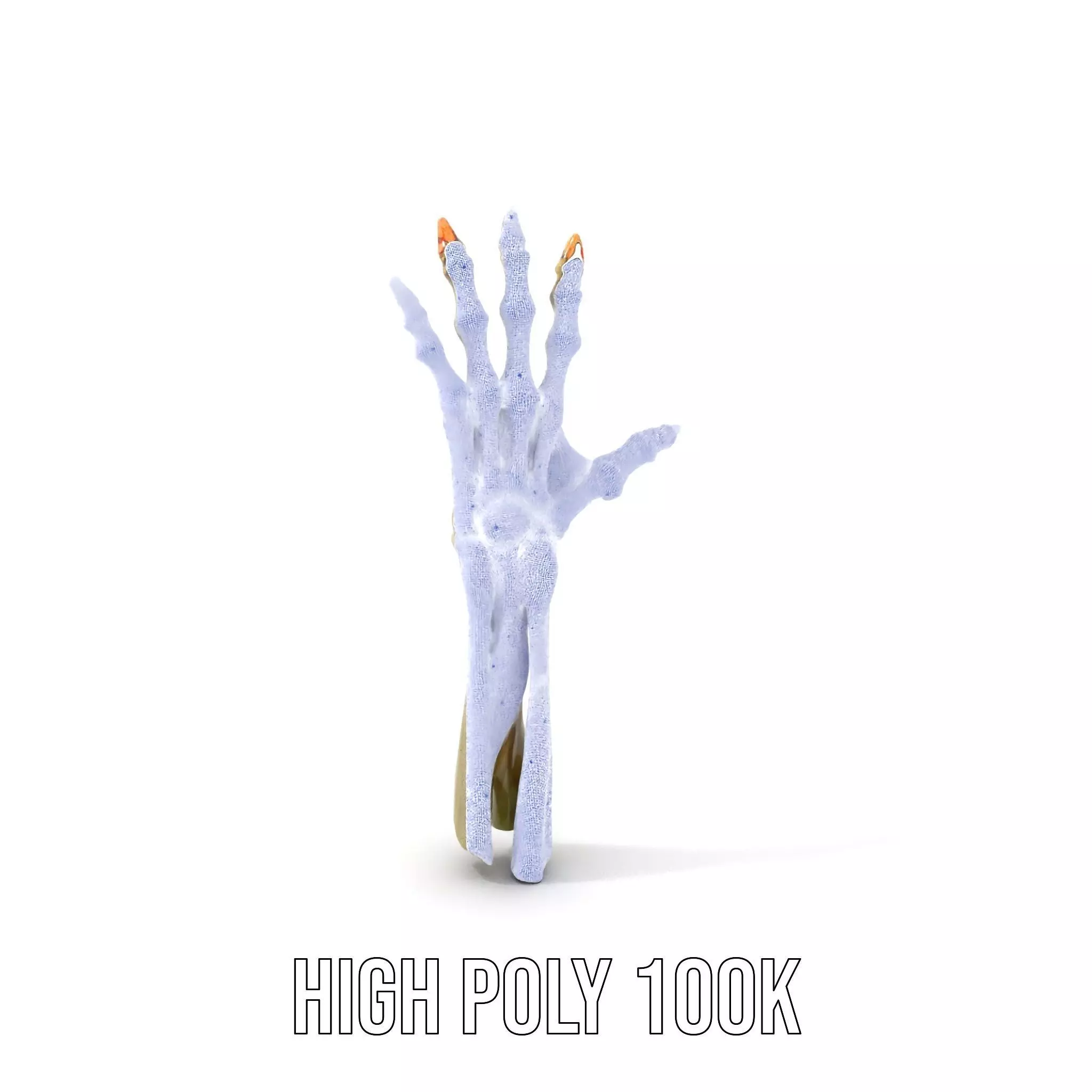Skeletal Hand Model Pack for Fantasy and Horror Themes Low-poly 3D model_5