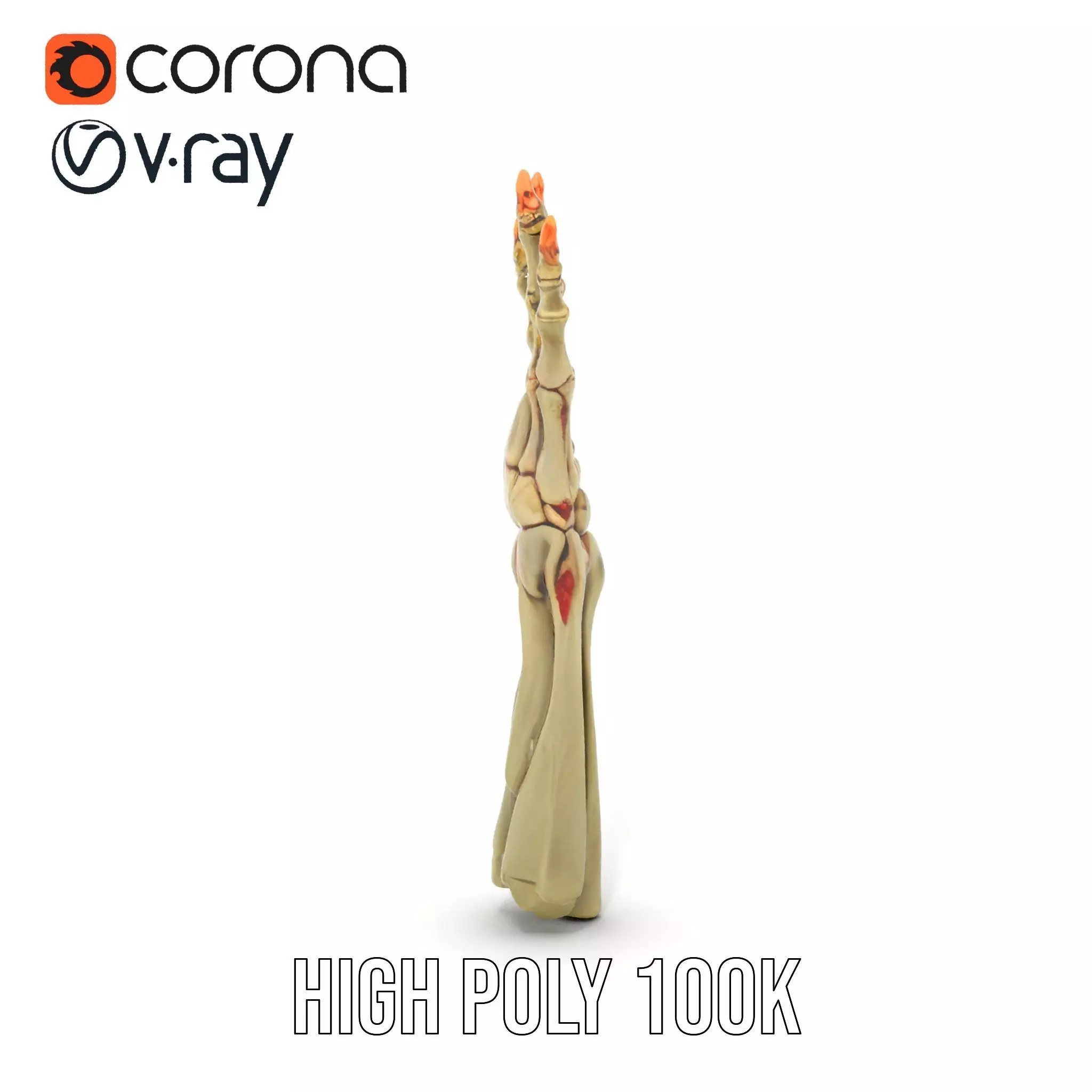 Skeletal Hand Model Pack for Fantasy and Horror Themes Low-poly 3D model_32