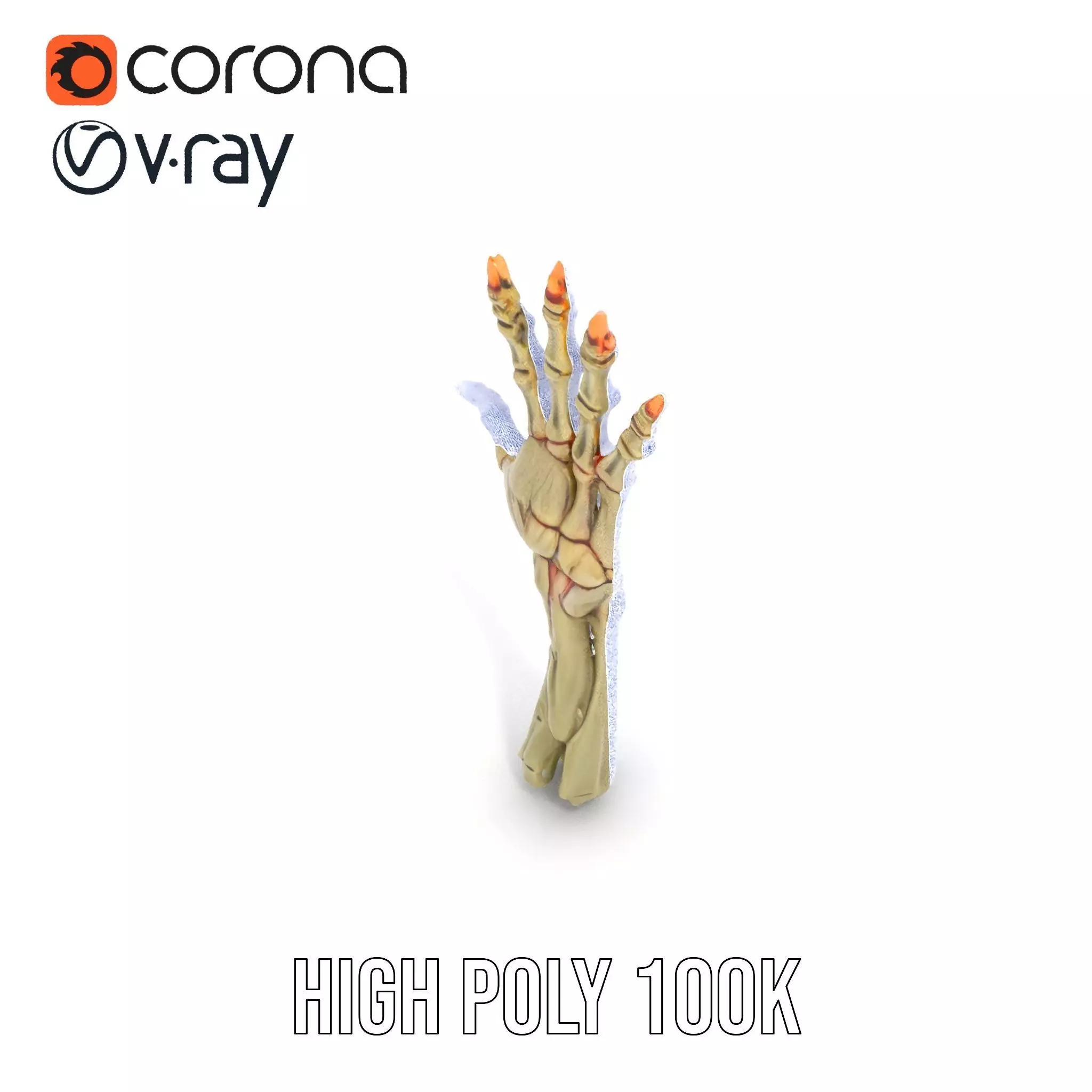 Skeletal Hand Model Pack for Fantasy and Horror Themes Low-poly 3D model_26