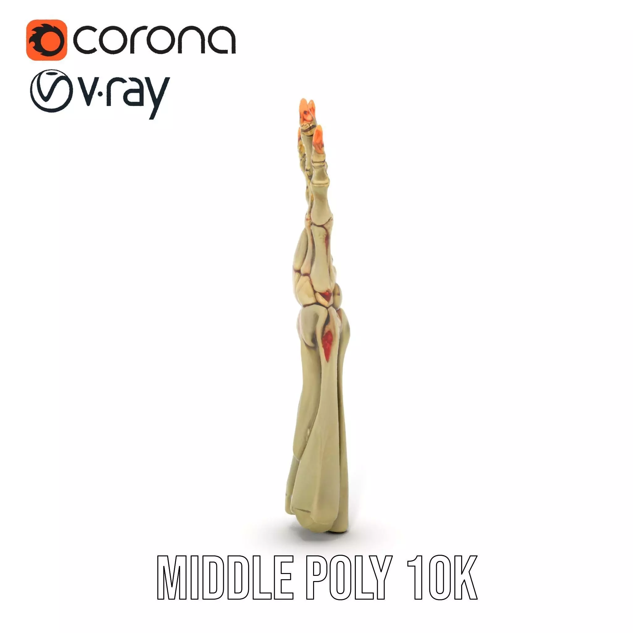 Skeletal Hand Model Pack for Fantasy and Horror Themes Low-poly 3D model_24