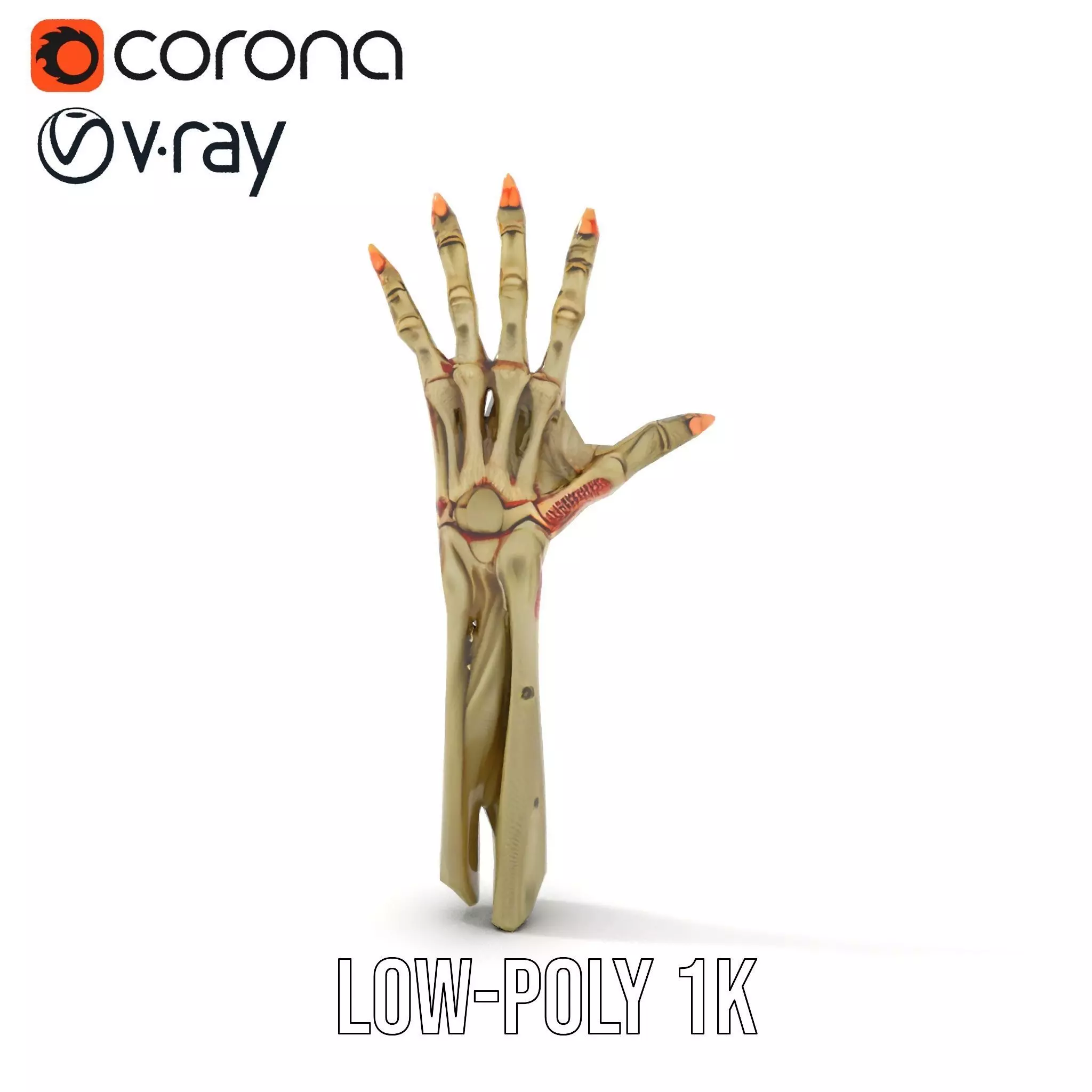 Skeletal Hand Model Pack for Fantasy and Horror Themes Low-poly 3D model_20