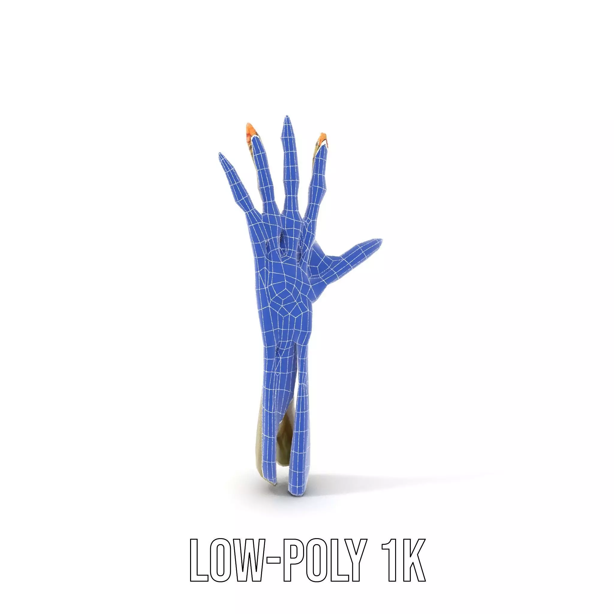 Skeletal Hand Model Pack for Fantasy and Horror Themes Low-poly 3D model_25