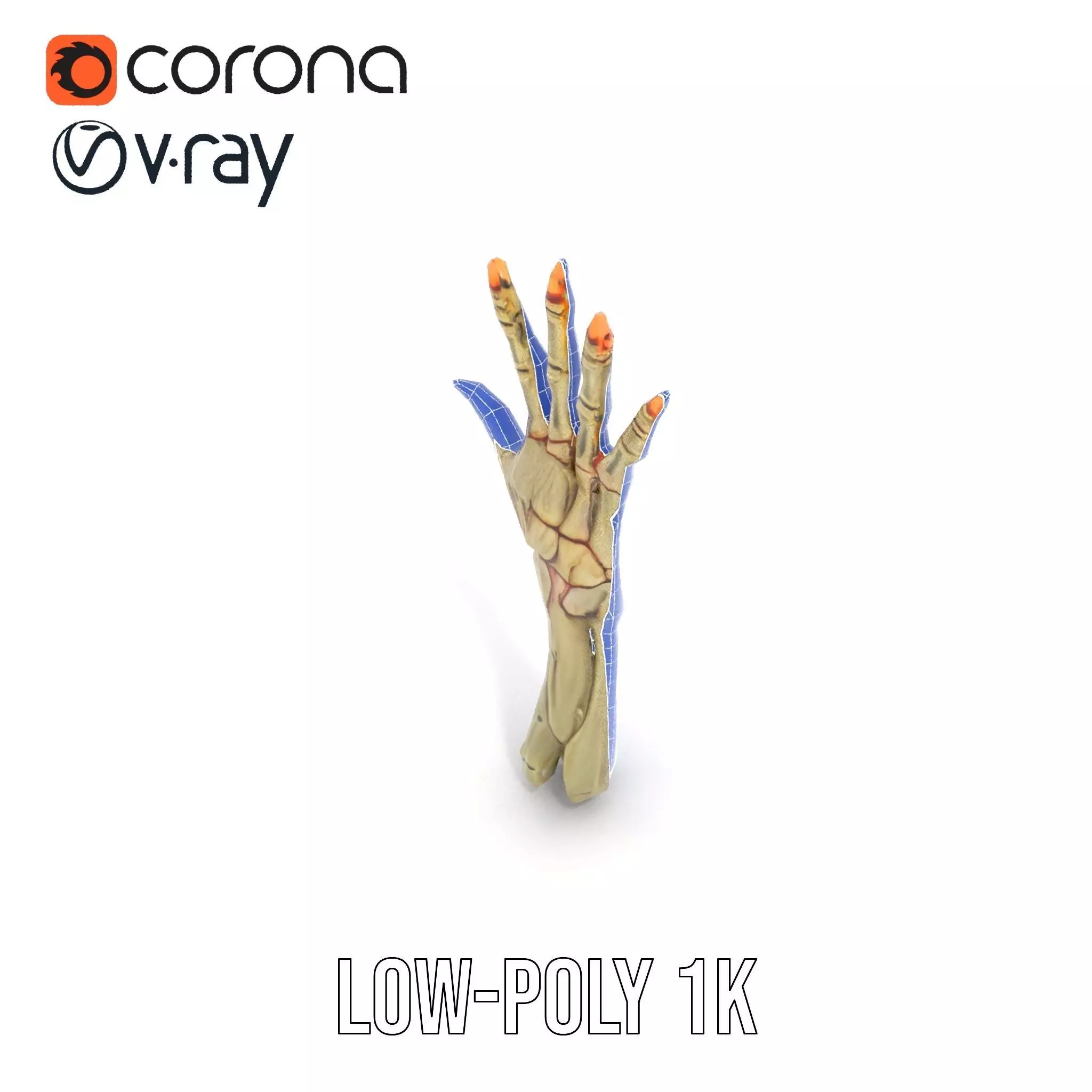 Skeletal Hand Model Pack for Fantasy and Horror Themes Low-poly 3D model_15