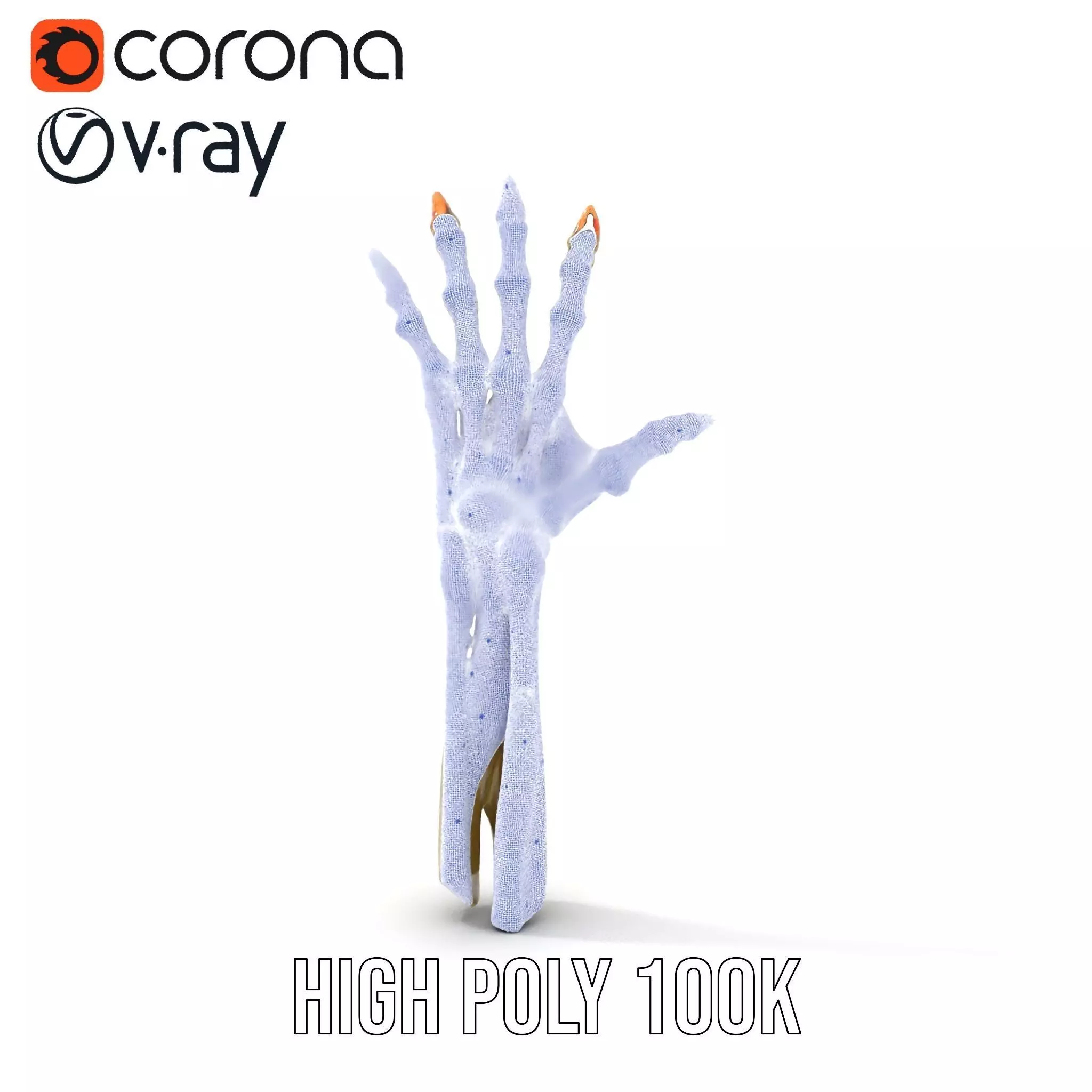 Skeletal Hand Model Pack for Fantasy and Horror Themes Low-poly 3D model_29