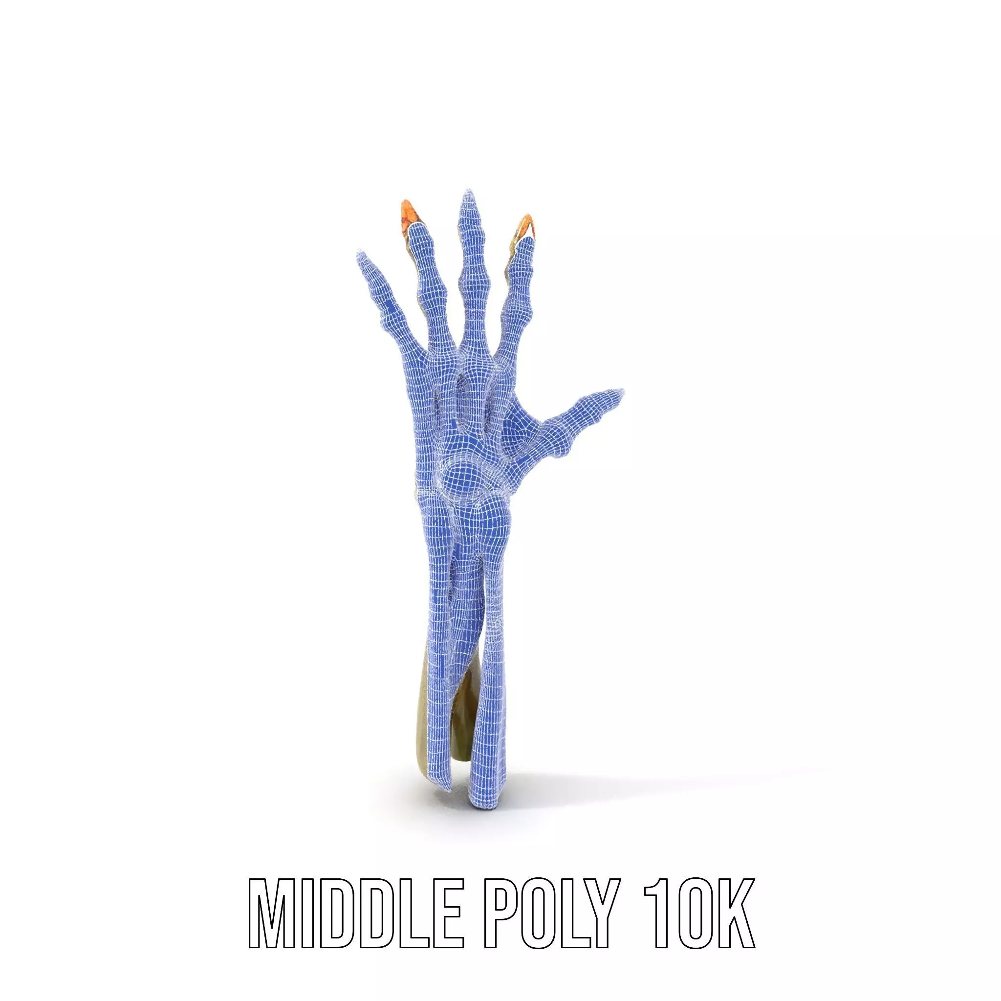 Skeletal Hand Model Pack for Fantasy and Horror Themes Low-poly 3D model_22