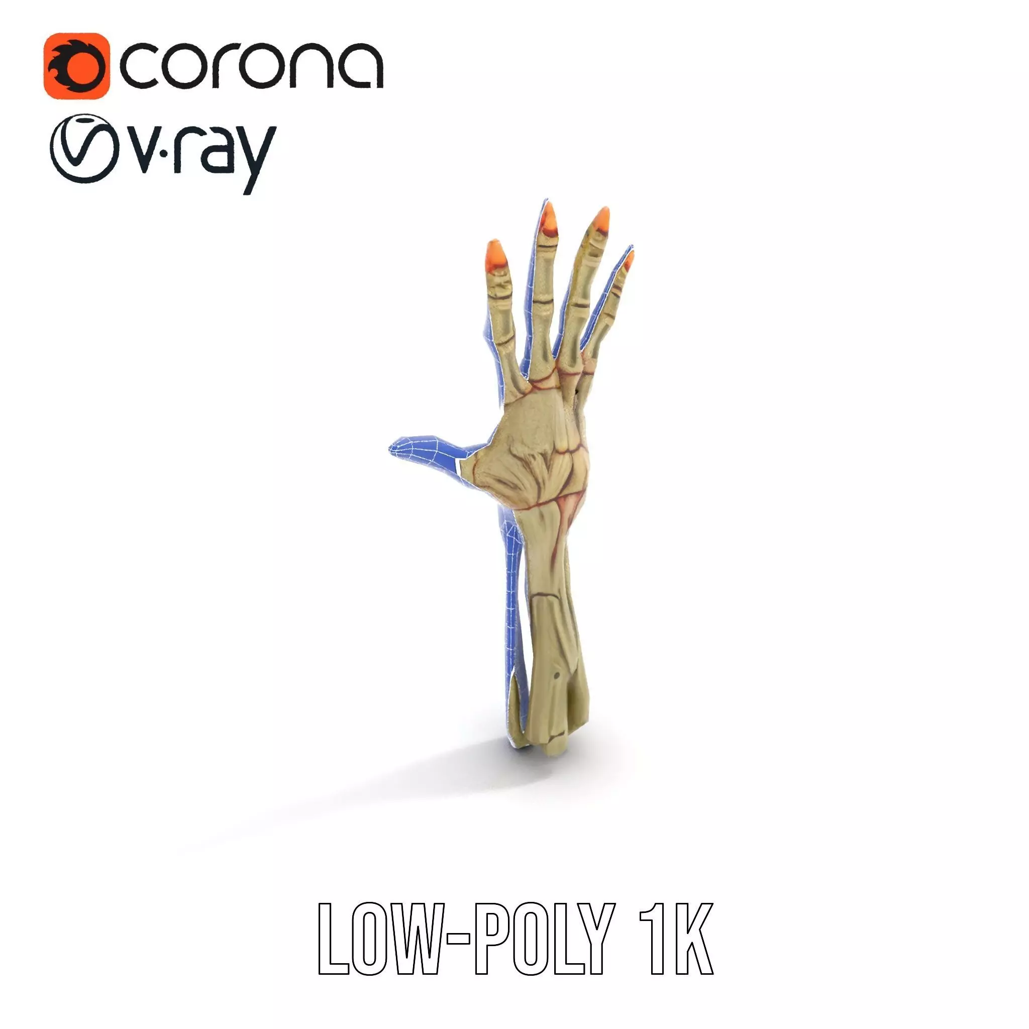 Skeletal Hand Model Pack for Fantasy and Horror Themes Low-poly 3D model_28