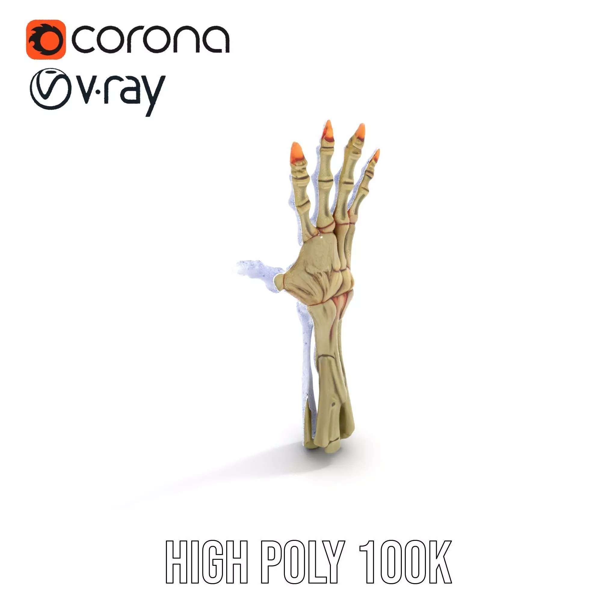 Skeletal Hand Model Pack for Fantasy and Horror Themes Low-poly 3D model_18