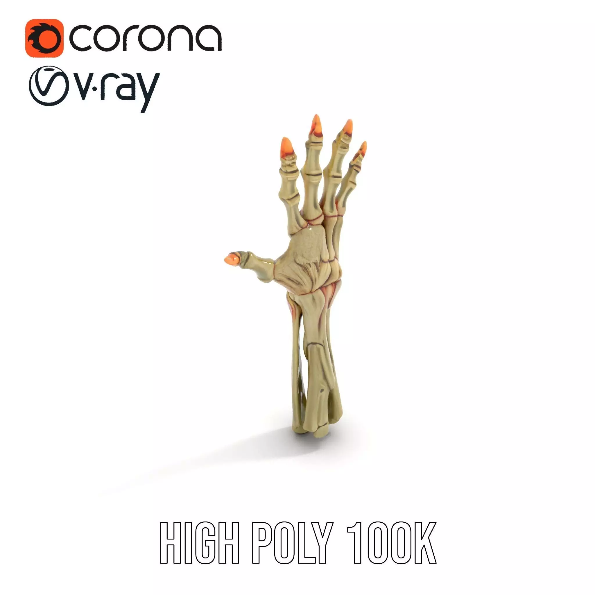 Skeletal Hand Model Pack for Fantasy and Horror Themes Low-poly 3D model_9