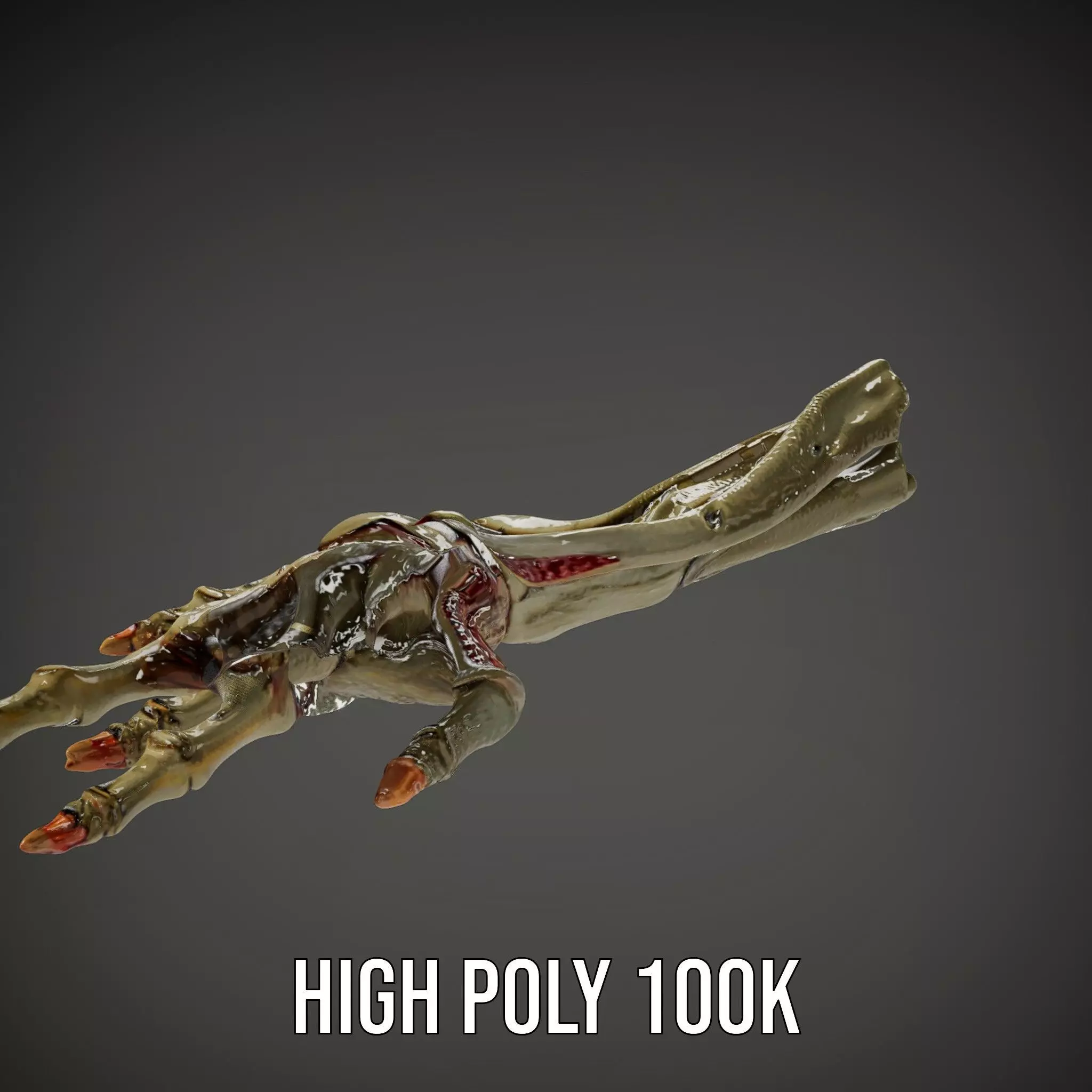 Skeletal Hand Model Pack for Fantasy and Horror Themes Low-poly 3D model_35