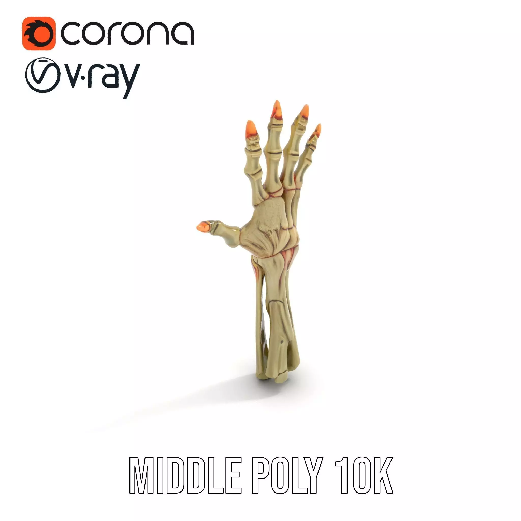 Skeletal Hand Model Pack for Fantasy and Horror Themes Low-poly 3D model_7