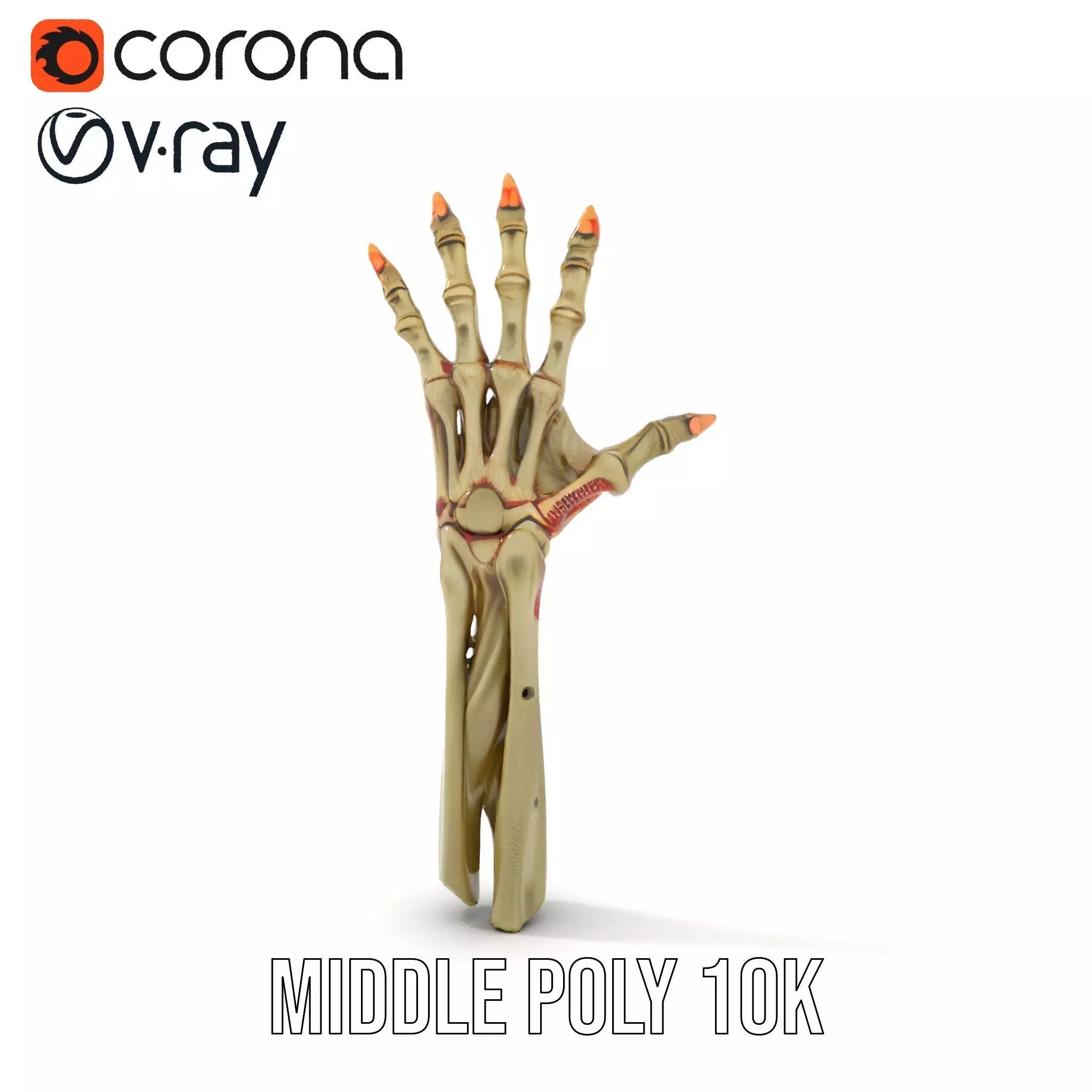 Skeletal Hand Model Pack for Fantasy and Horror Themes Low-poly 3D model_11