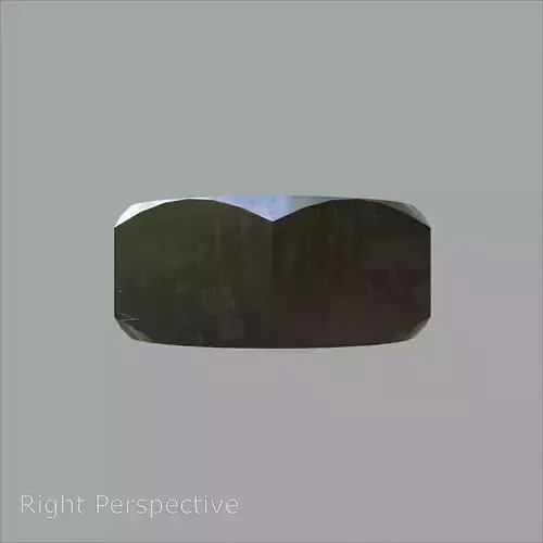 Steel Stained M10 Hex Nut with PBR 4K Textures 3D model 5