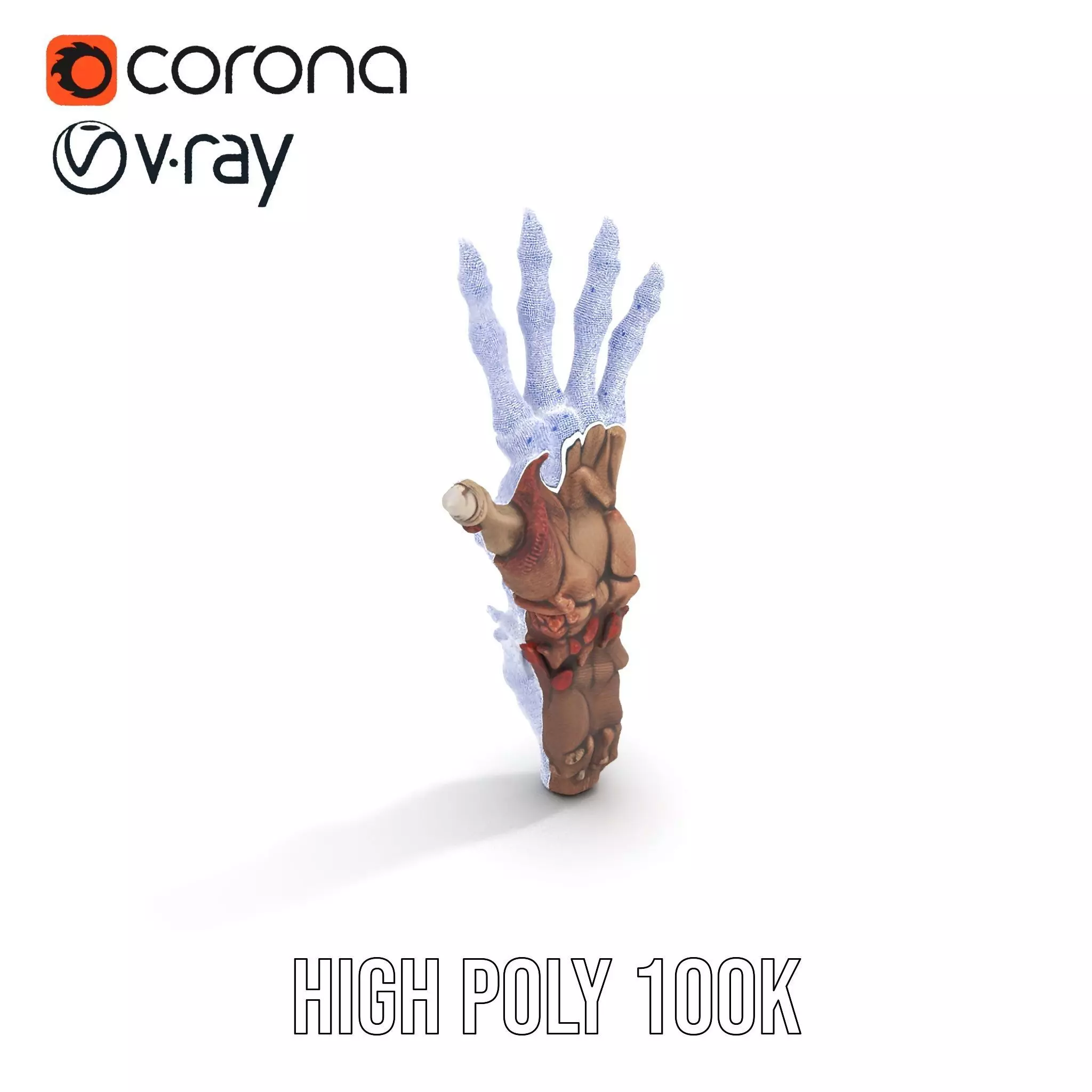 Fantasy Skeletal Claw Hand model pack Low-poly 3D model_32