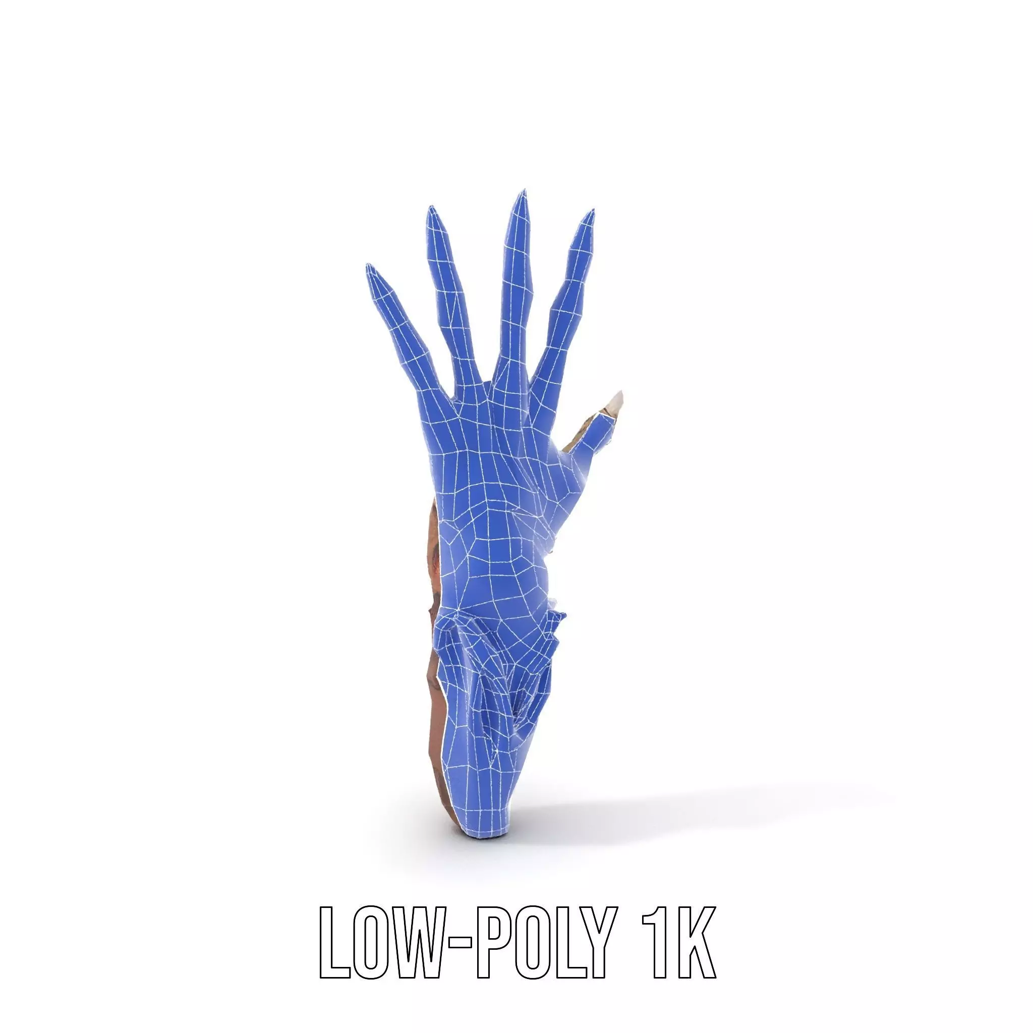 Fantasy Skeletal Claw Hand model pack Low-poly 3D model_12