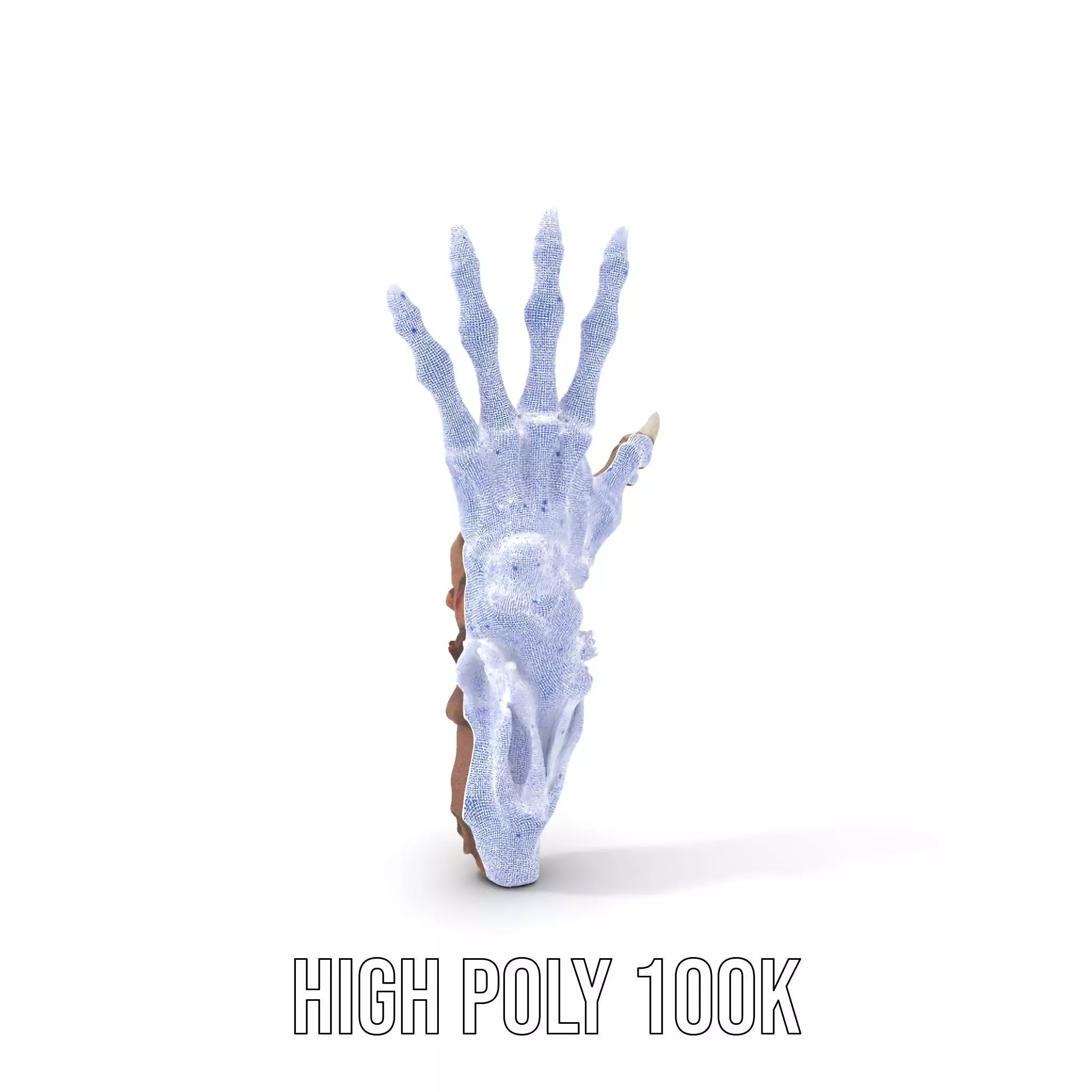 Fantasy Skeletal Claw Hand model pack Low-poly 3D model_5
