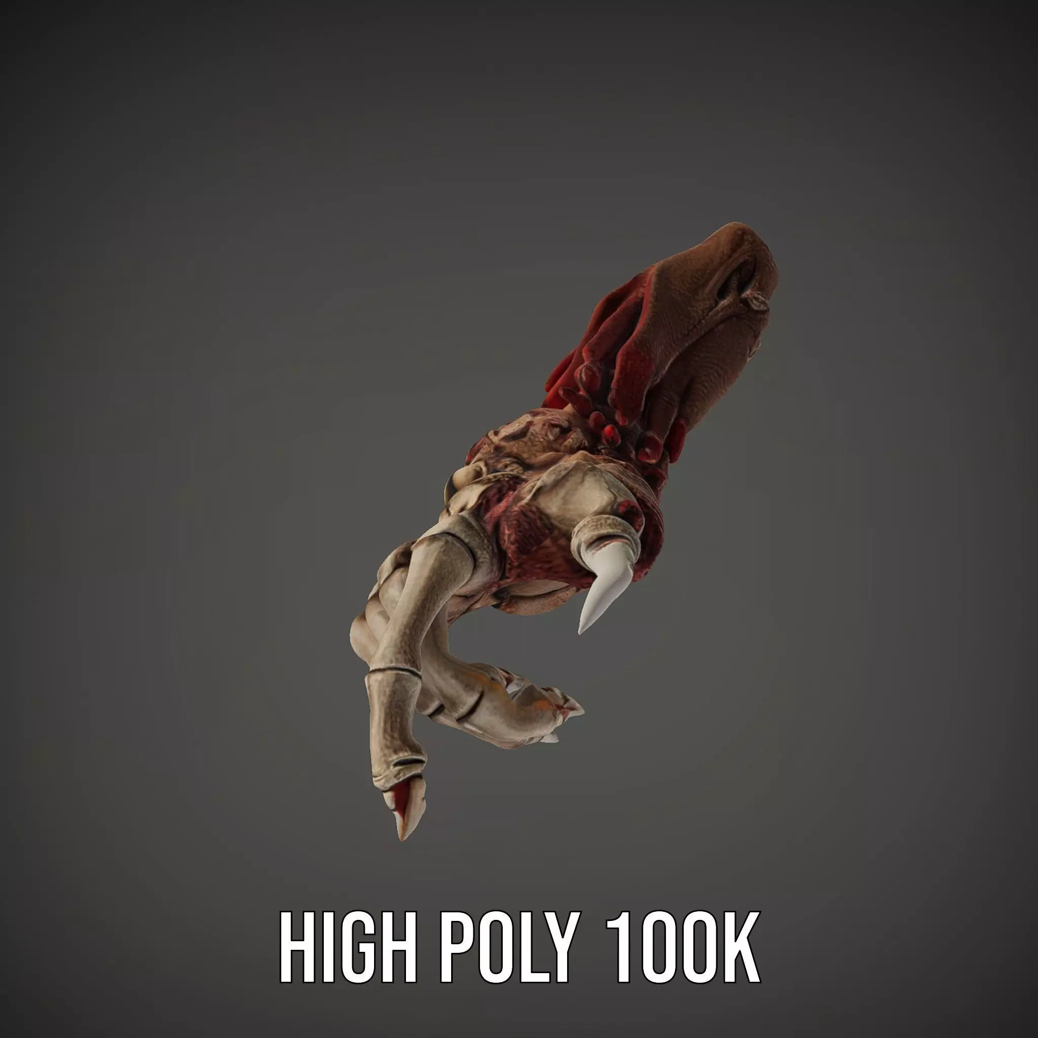 Fantasy Skeletal Claw Hand model pack Low-poly 3D model_35