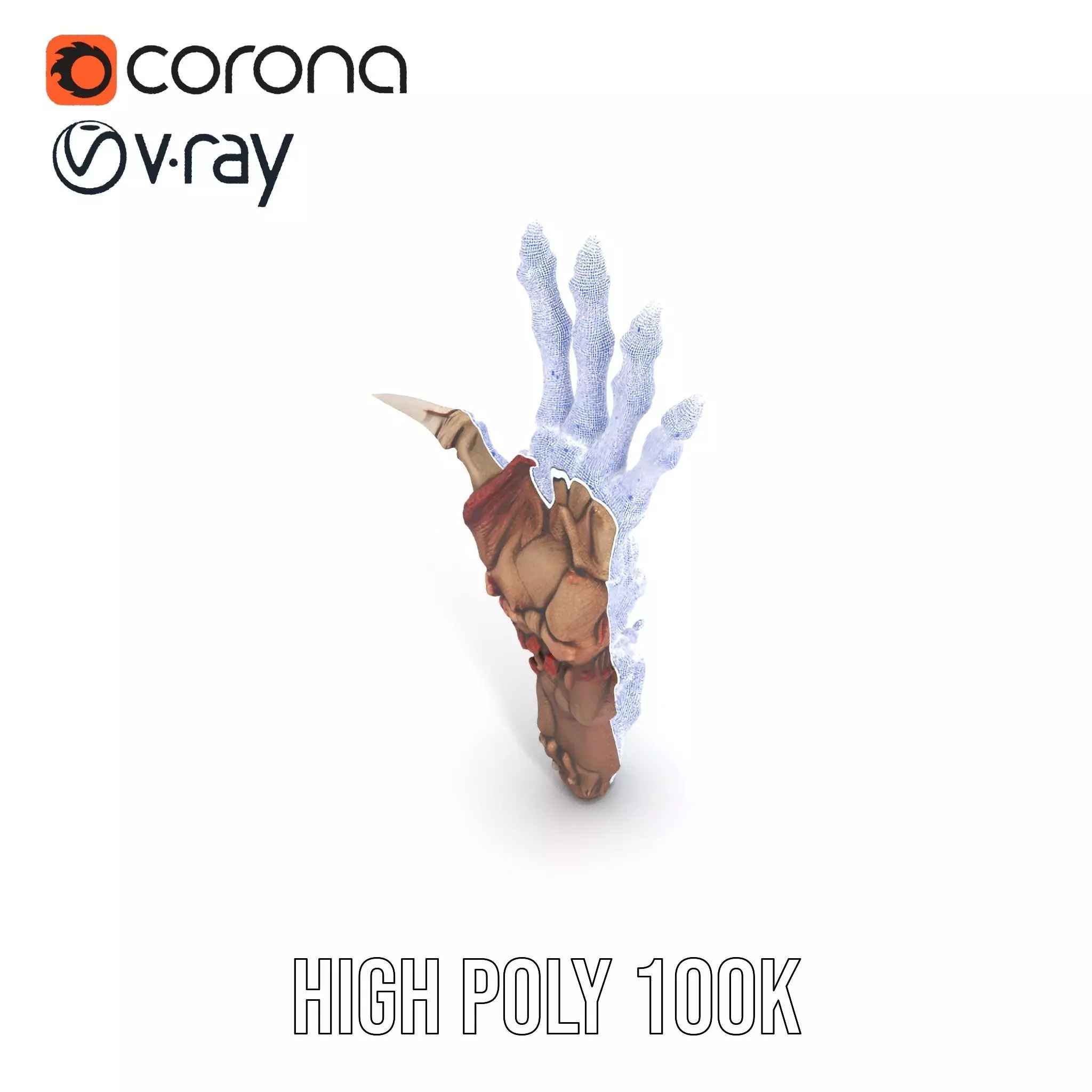 Fantasy Skeletal Claw Hand model pack Low-poly 3D model_29