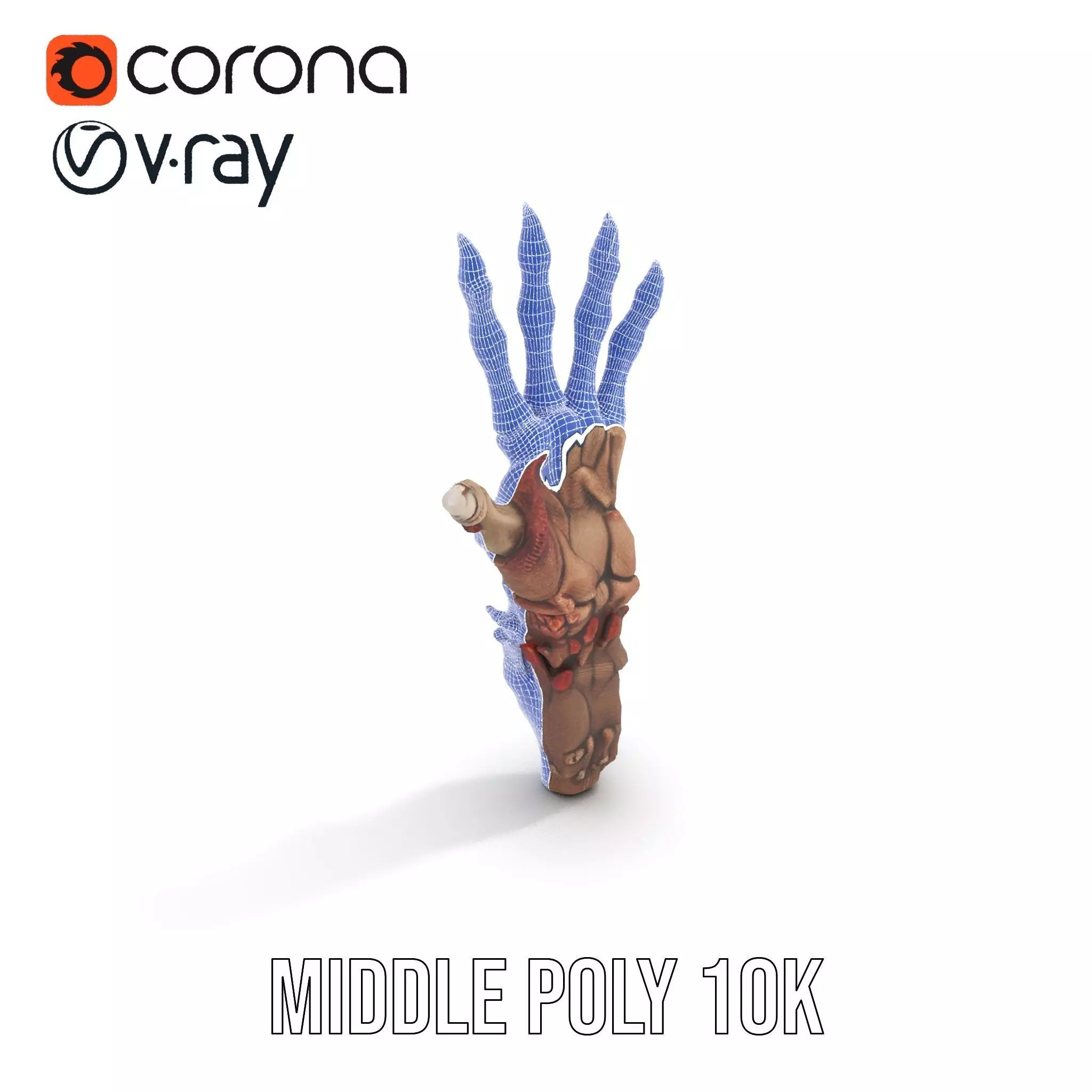 Fantasy Skeletal Claw Hand model pack Low-poly 3D model_13