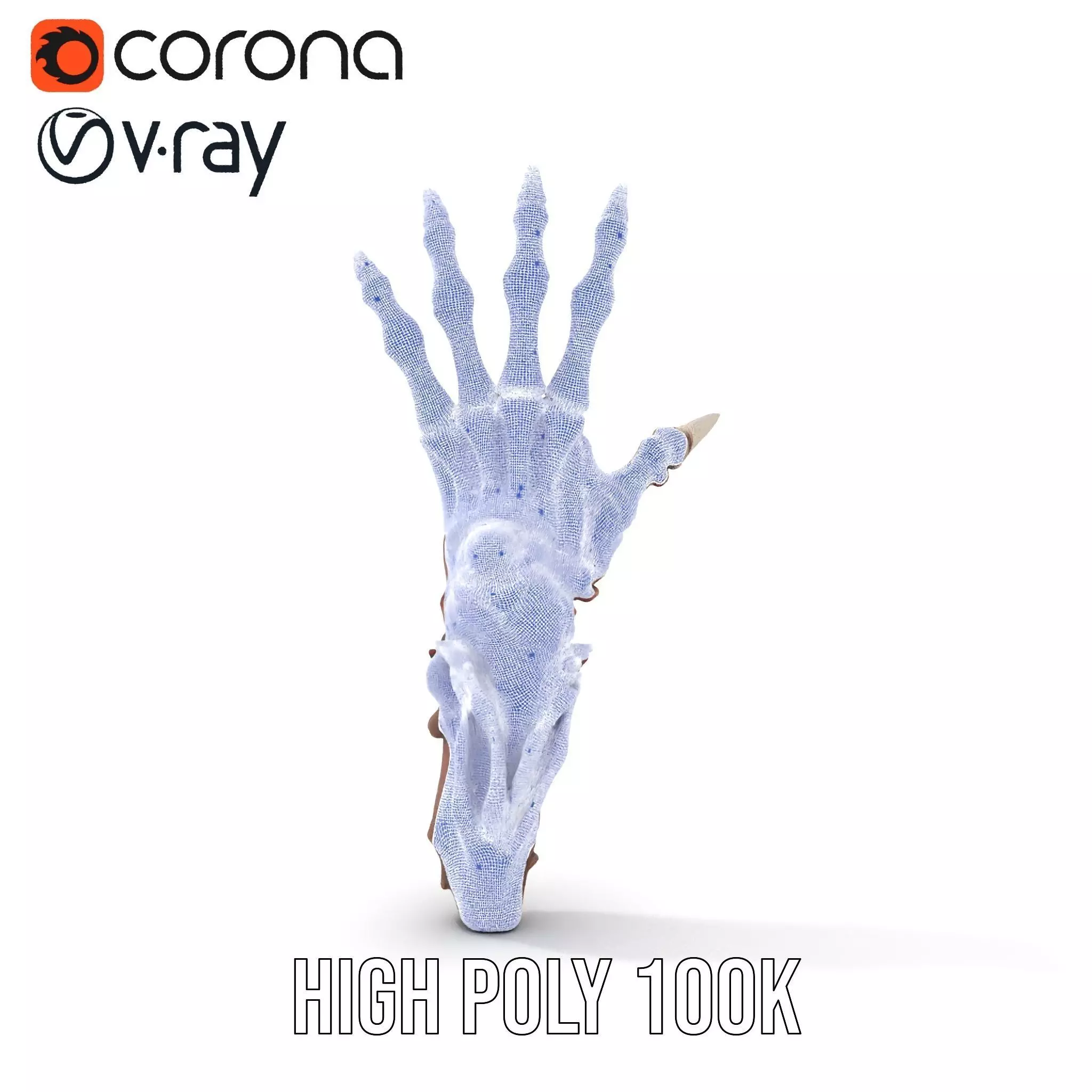 Fantasy Skeletal Claw Hand model pack Low-poly 3D model_33