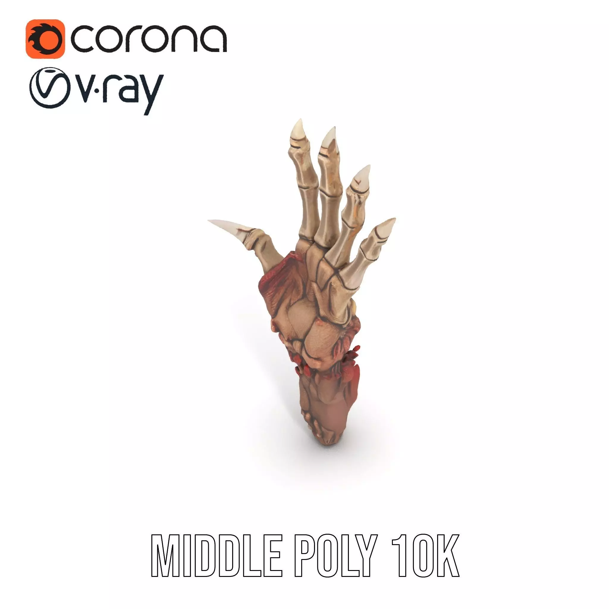 Fantasy Skeletal Claw Hand model pack Low-poly 3D model_27