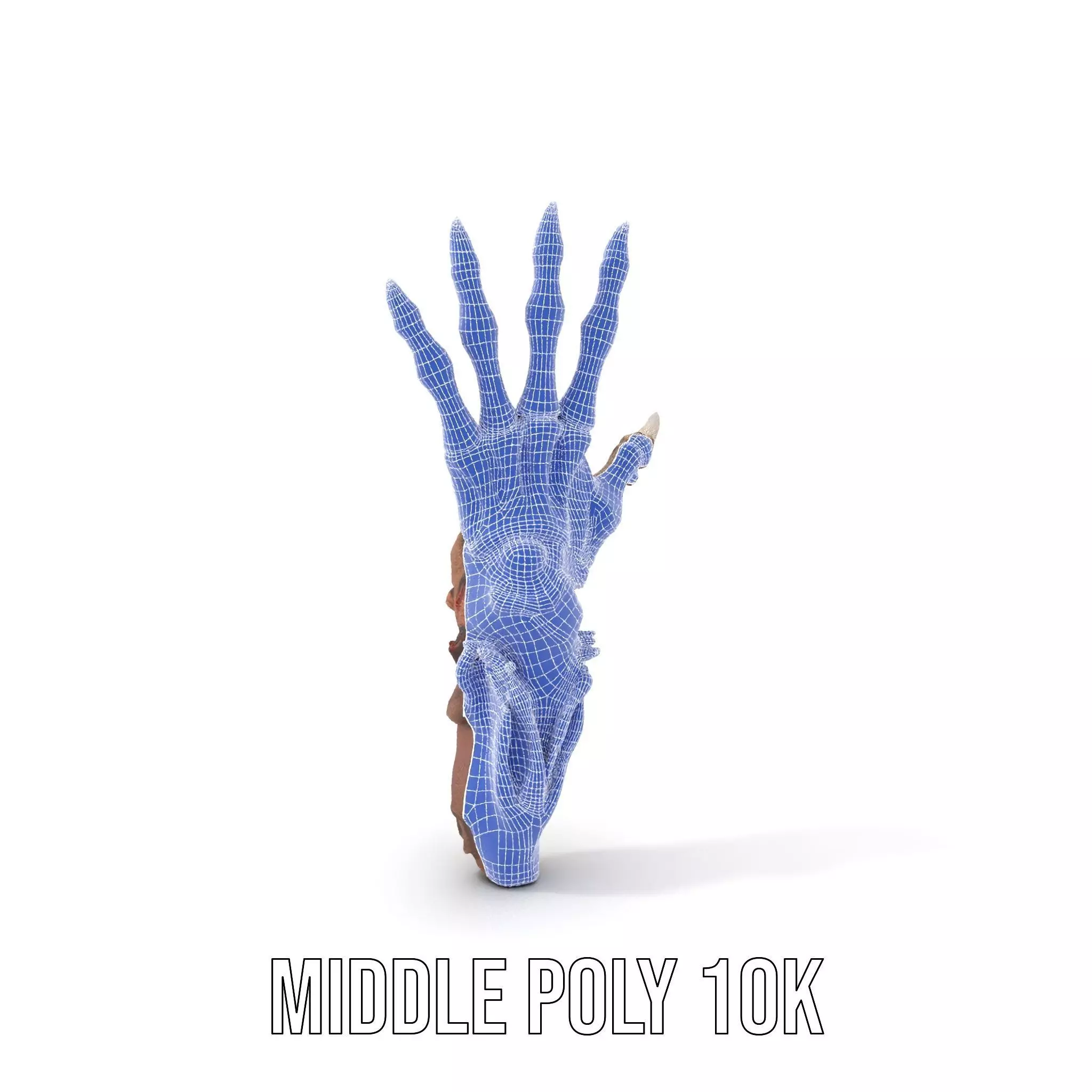 Fantasy Skeletal Claw Hand model pack Low-poly 3D model_11