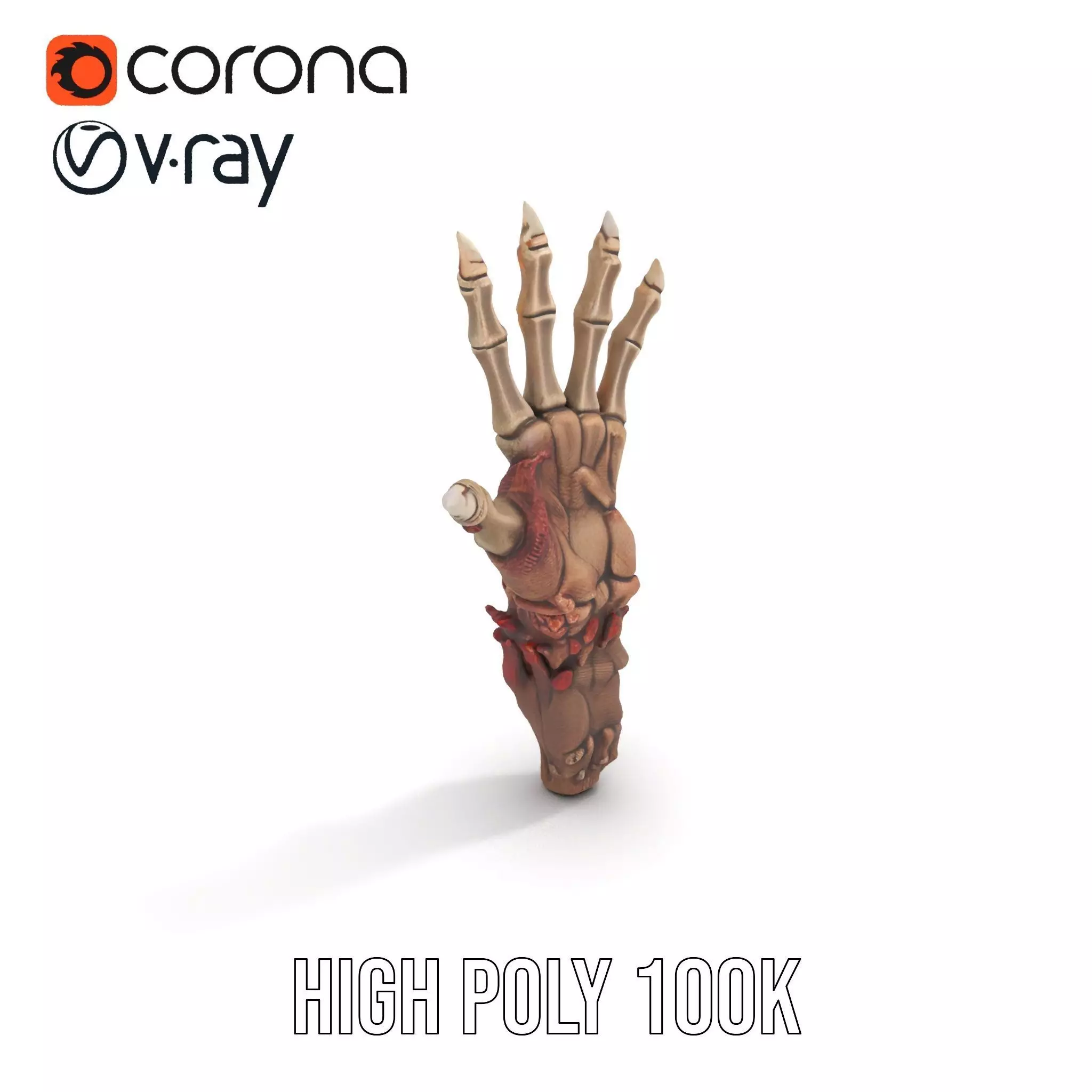 Fantasy Skeletal Claw Hand model pack Low-poly 3D model_21