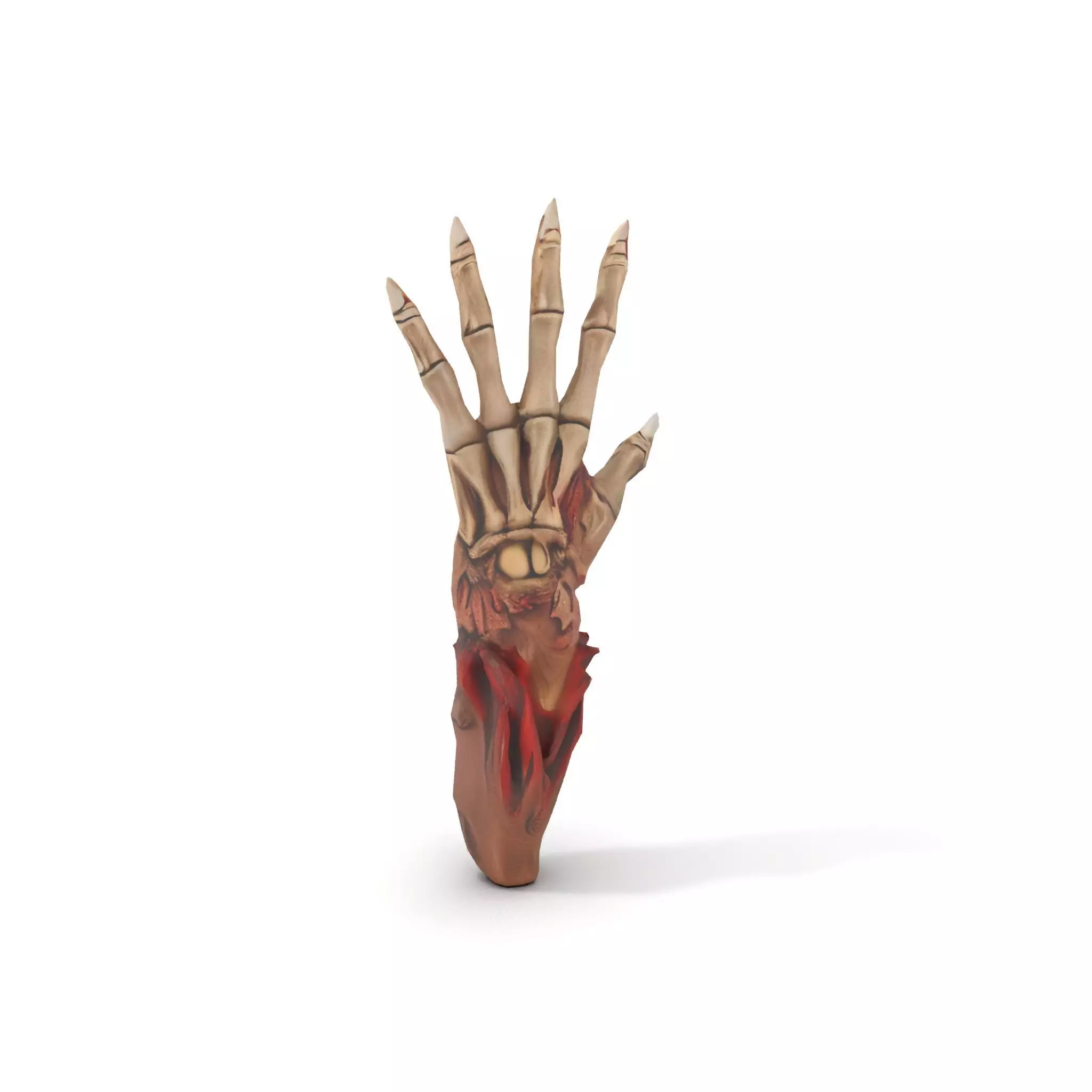 Fantasy Skeletal Claw Hand model pack Low-poly 3D model_8