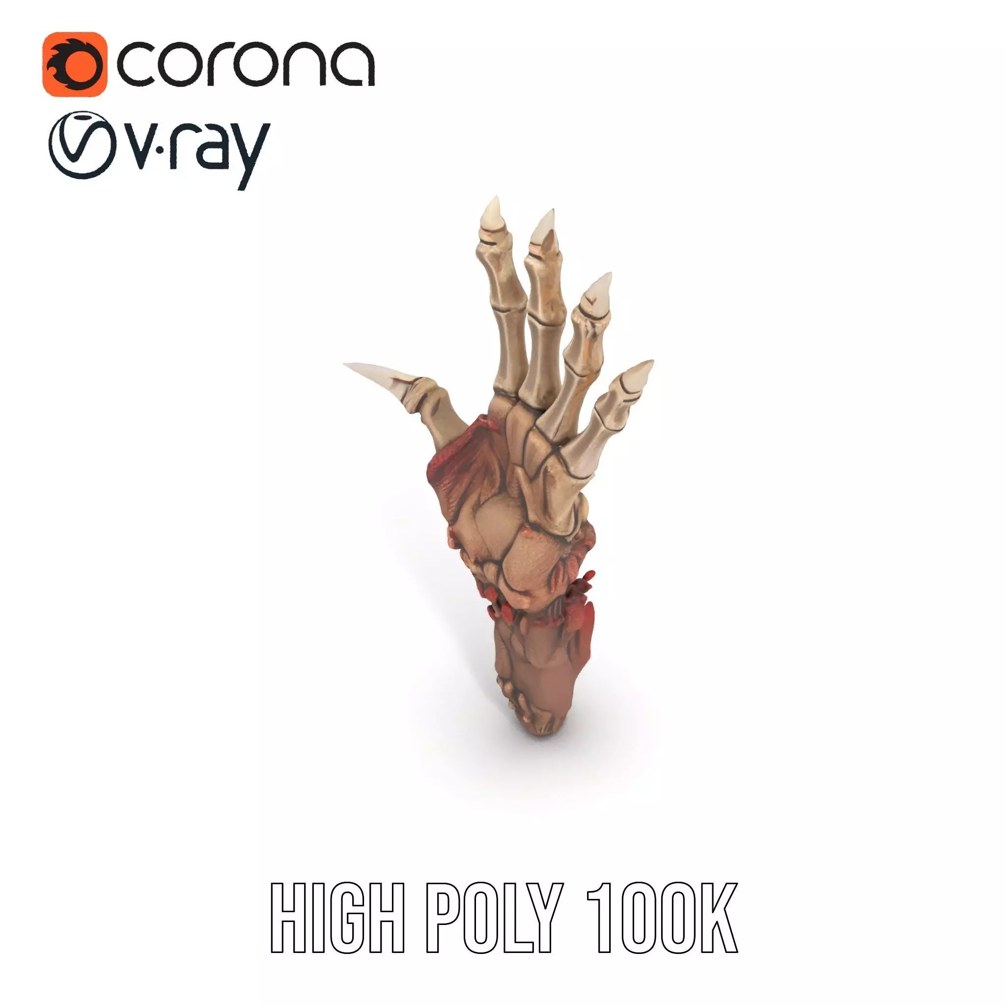 Fantasy Skeletal Claw Hand model pack Low-poly 3D model_15