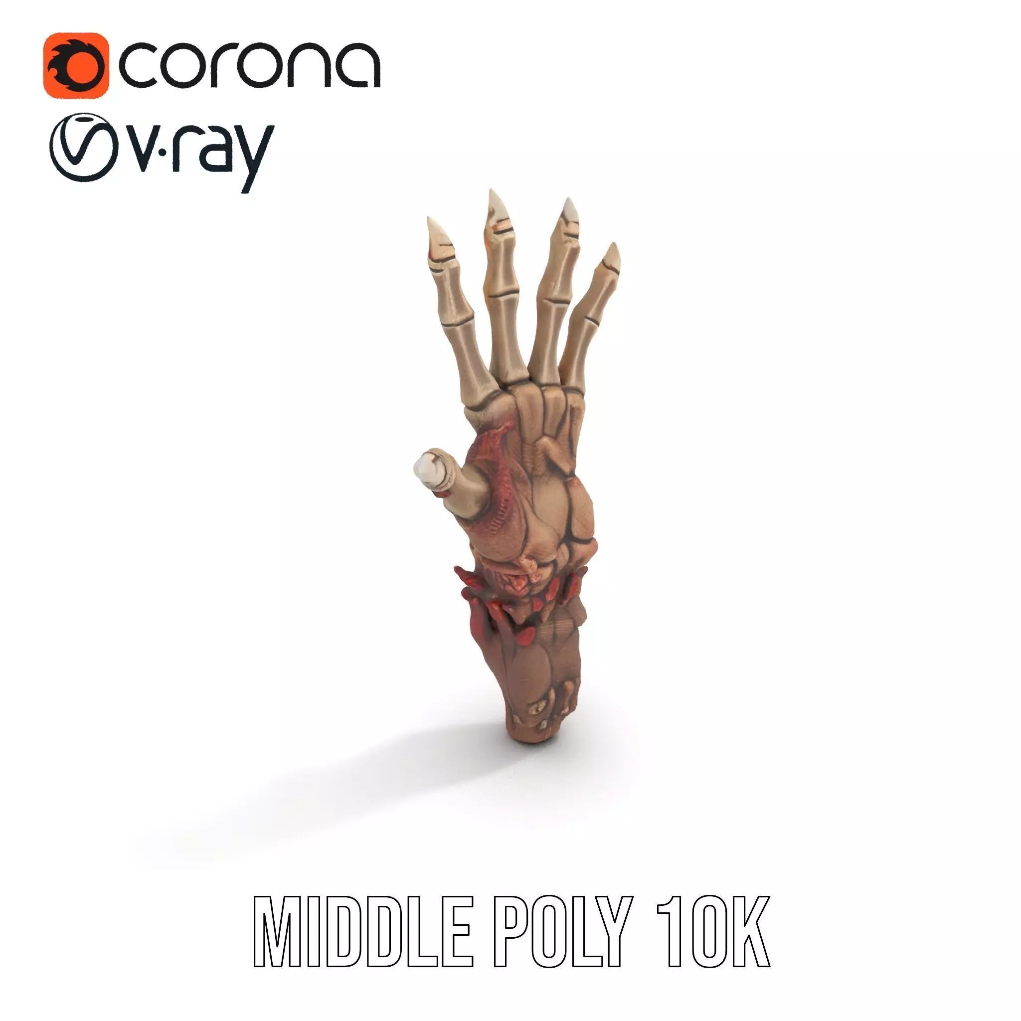 Fantasy Skeletal Claw Hand model pack Low-poly 3D model_7