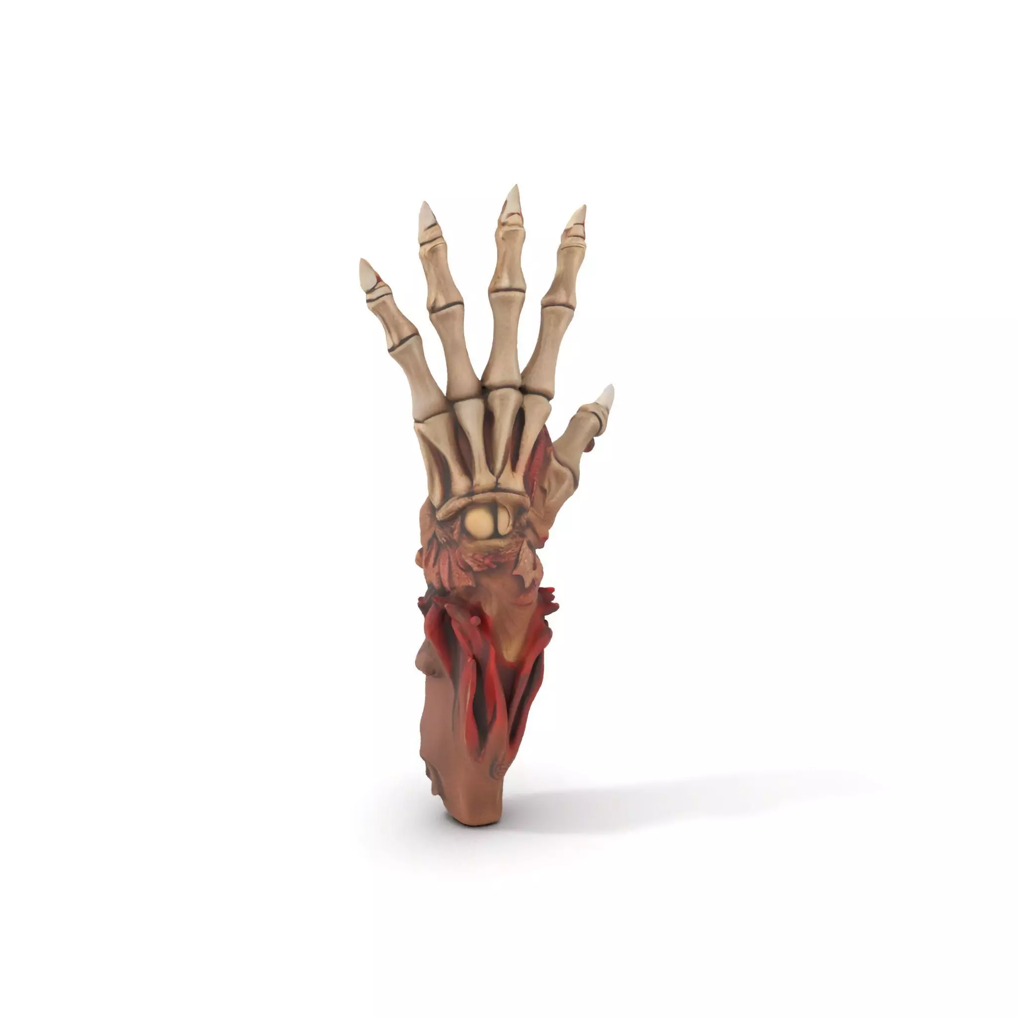 Fantasy Skeletal Claw Hand model pack Low-poly 3D model_0