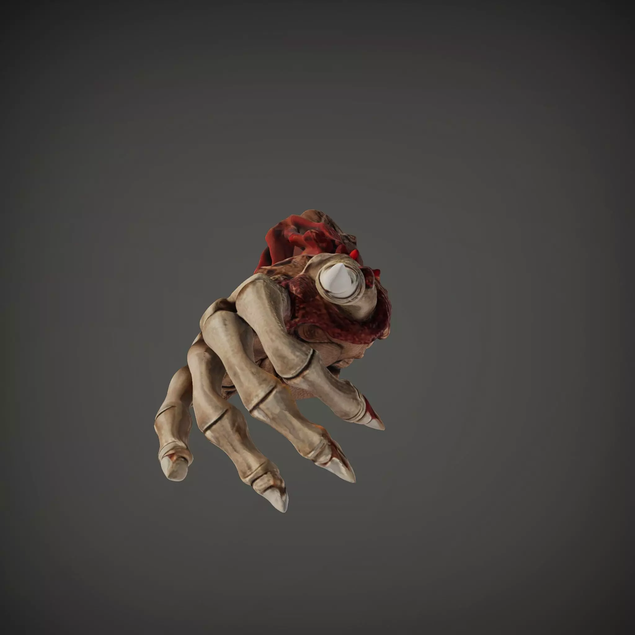 Fantasy Skeletal Claw Hand model pack Low-poly 3D model_34
