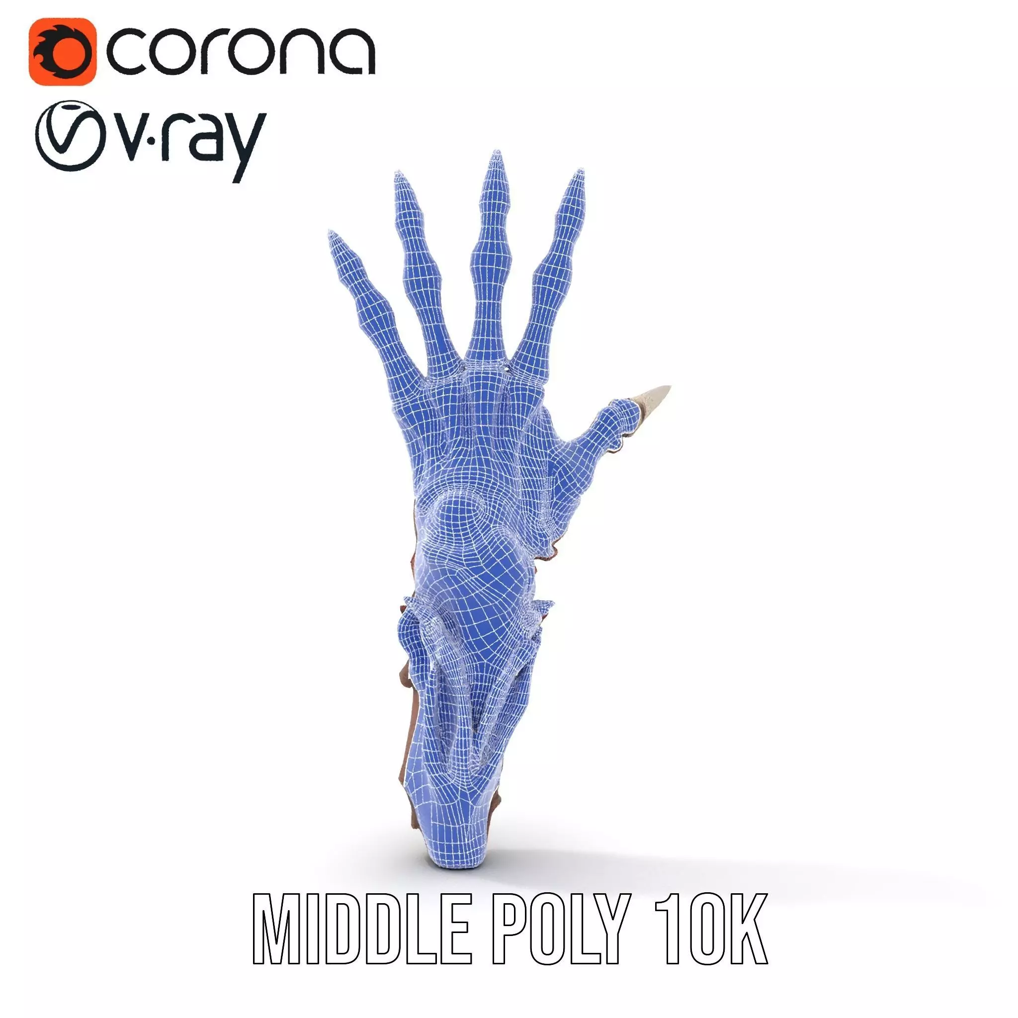 Fantasy Skeletal Claw Hand model pack Low-poly 3D model_19