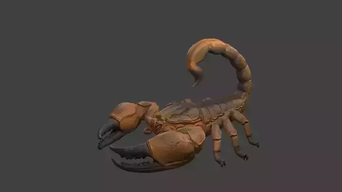 Scorpion