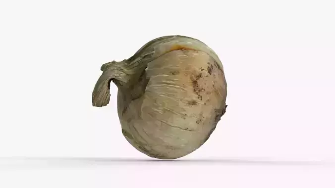 Photorealistic 3D scan of onion Low-poly 3D model 7