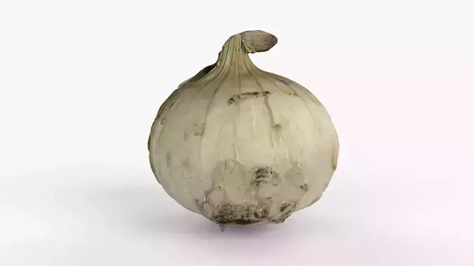 Photorealistic 3D scan of onion Low-poly 3D model 3