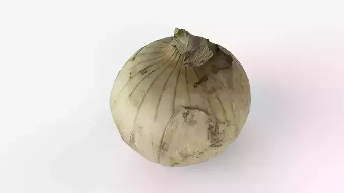 Photorealistic 3D scan of onion Low-poly 3D model 2