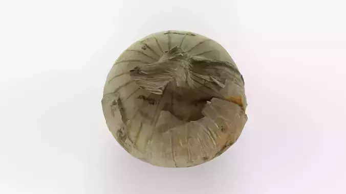 Photorealistic 3D scan of onion Low-poly 3D model 6