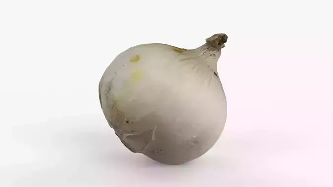 Photorealistic 3D scan of onion Low-poly 3D model 2